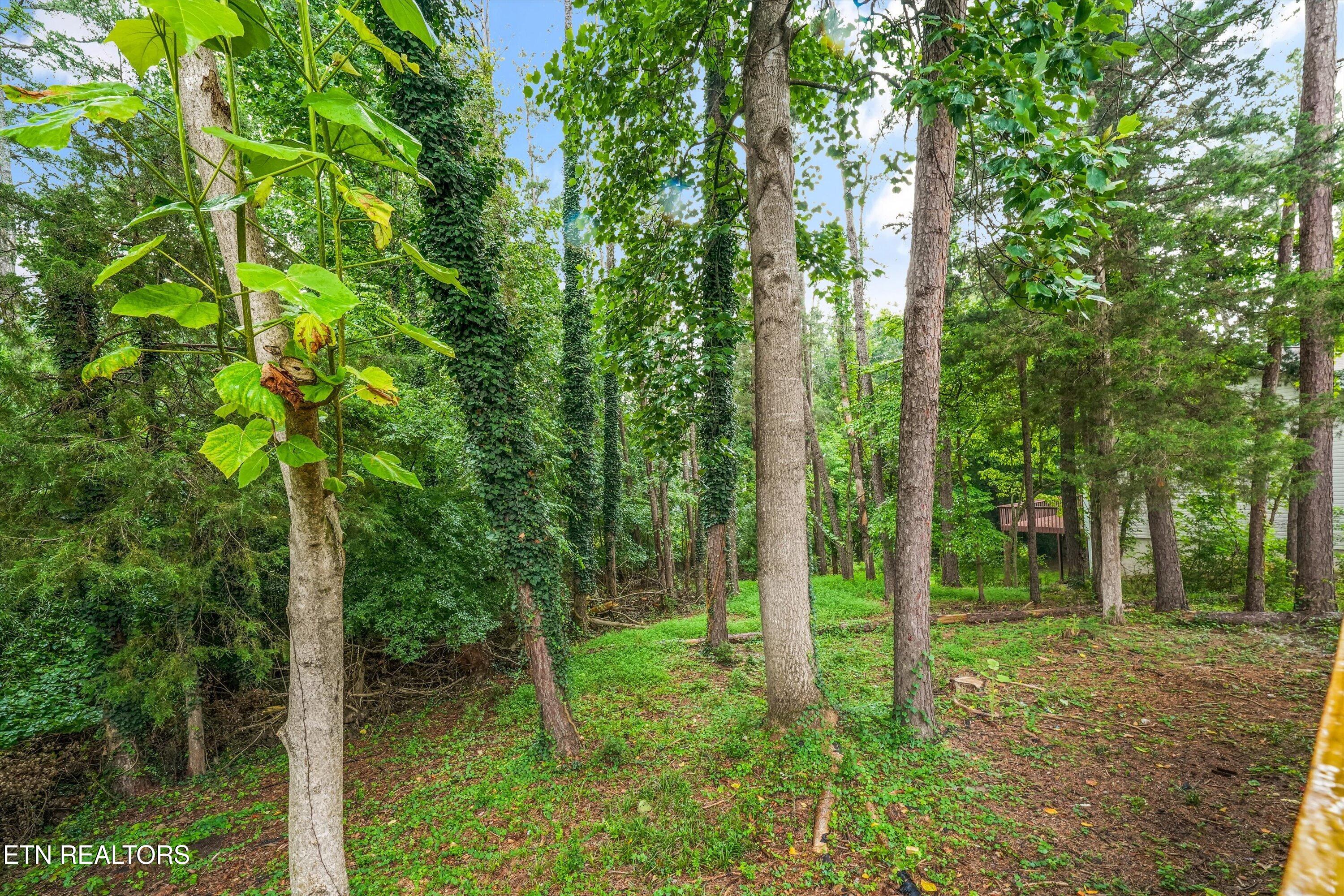 433 Tanasi Way Loudon TN 37774