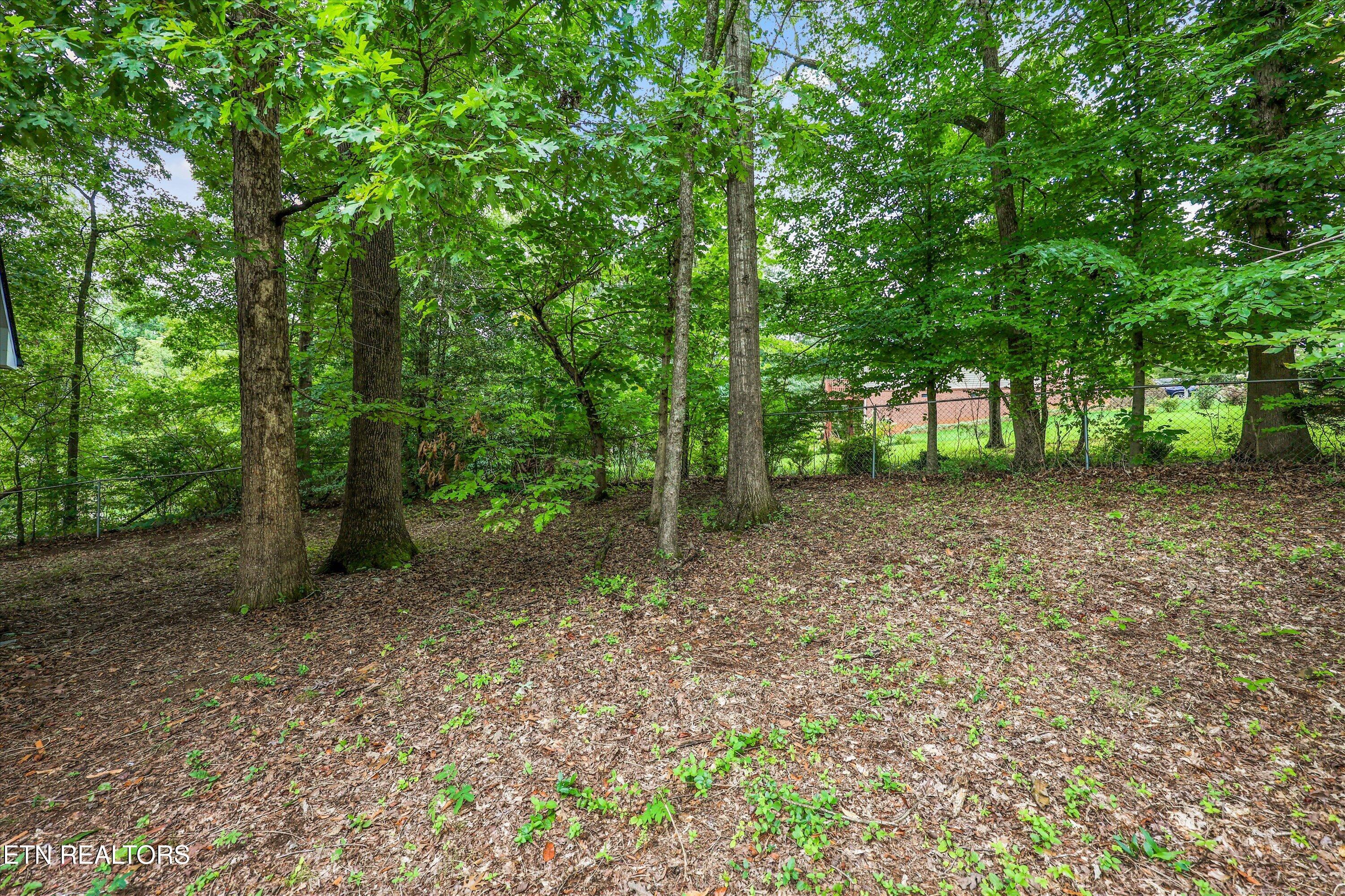 7325 Vahid Road Knoxville TN 37920
