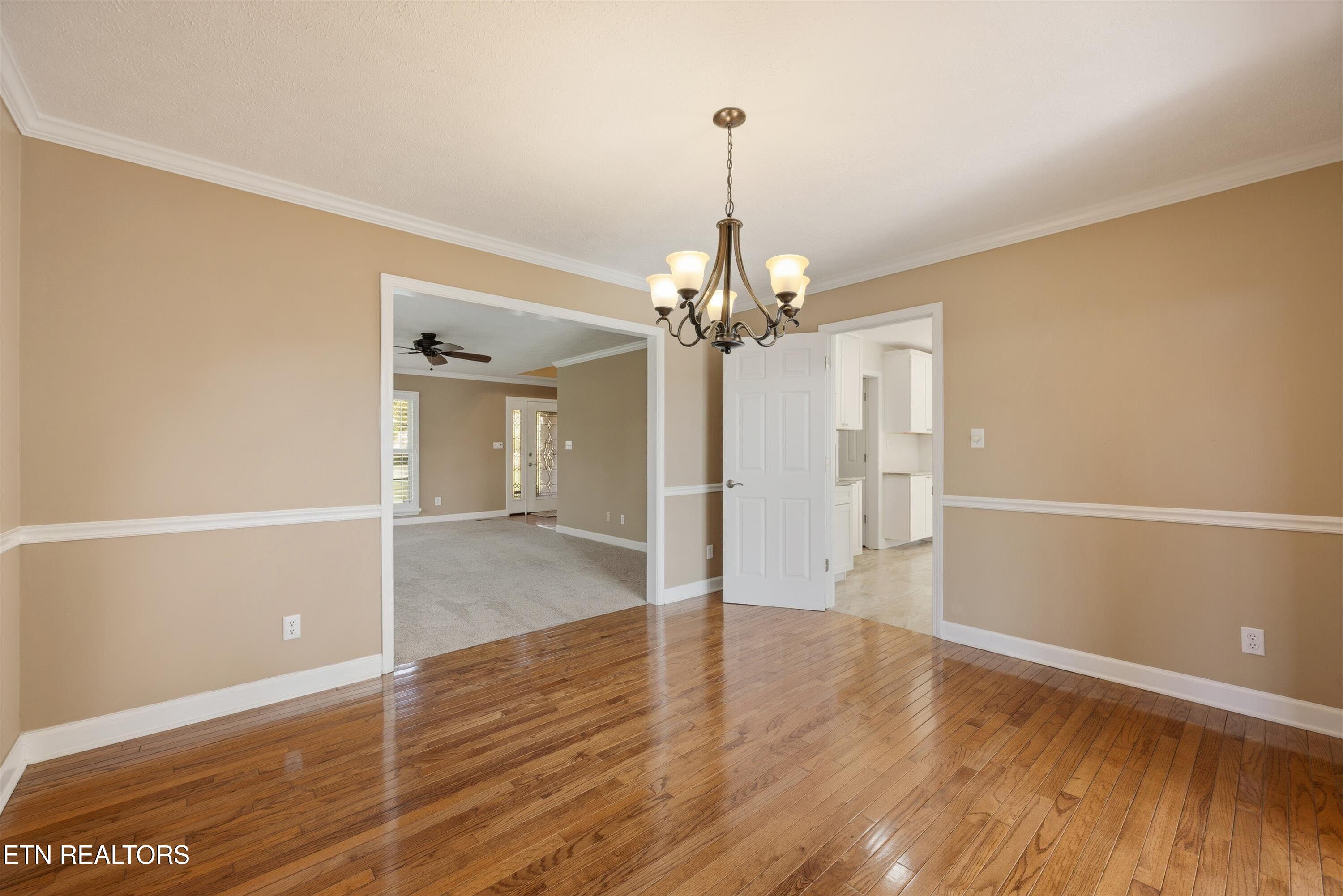113 Ostenbarker Street Maryville TN 37804