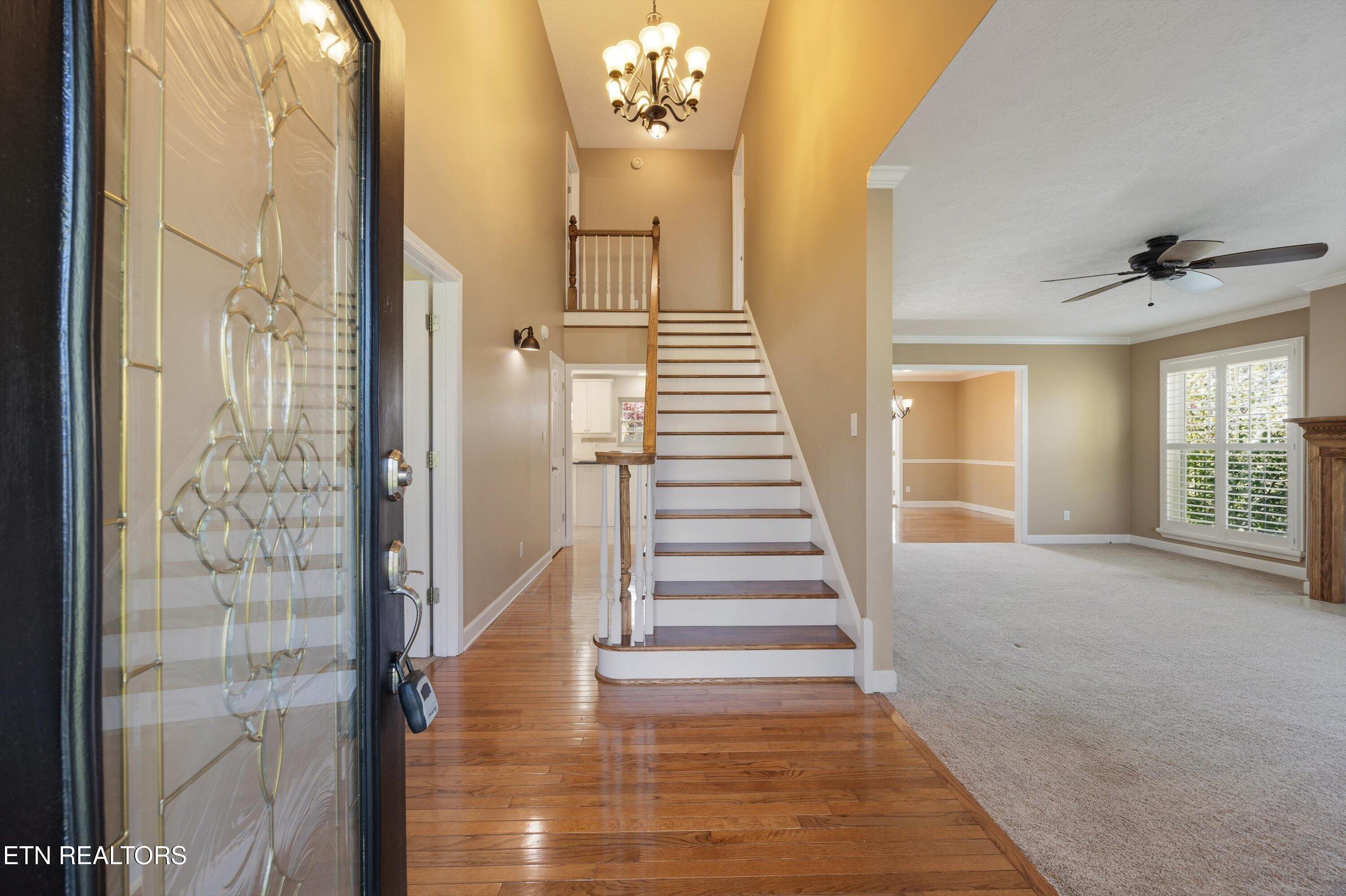 113 Ostenbarker Street Maryville TN 37804