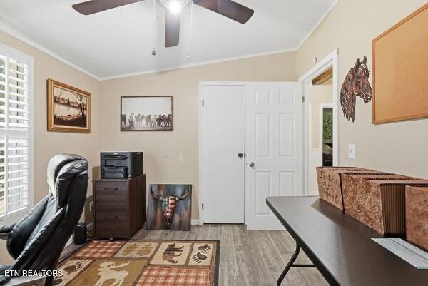 236 Grapevine Road Crossville TN 38572