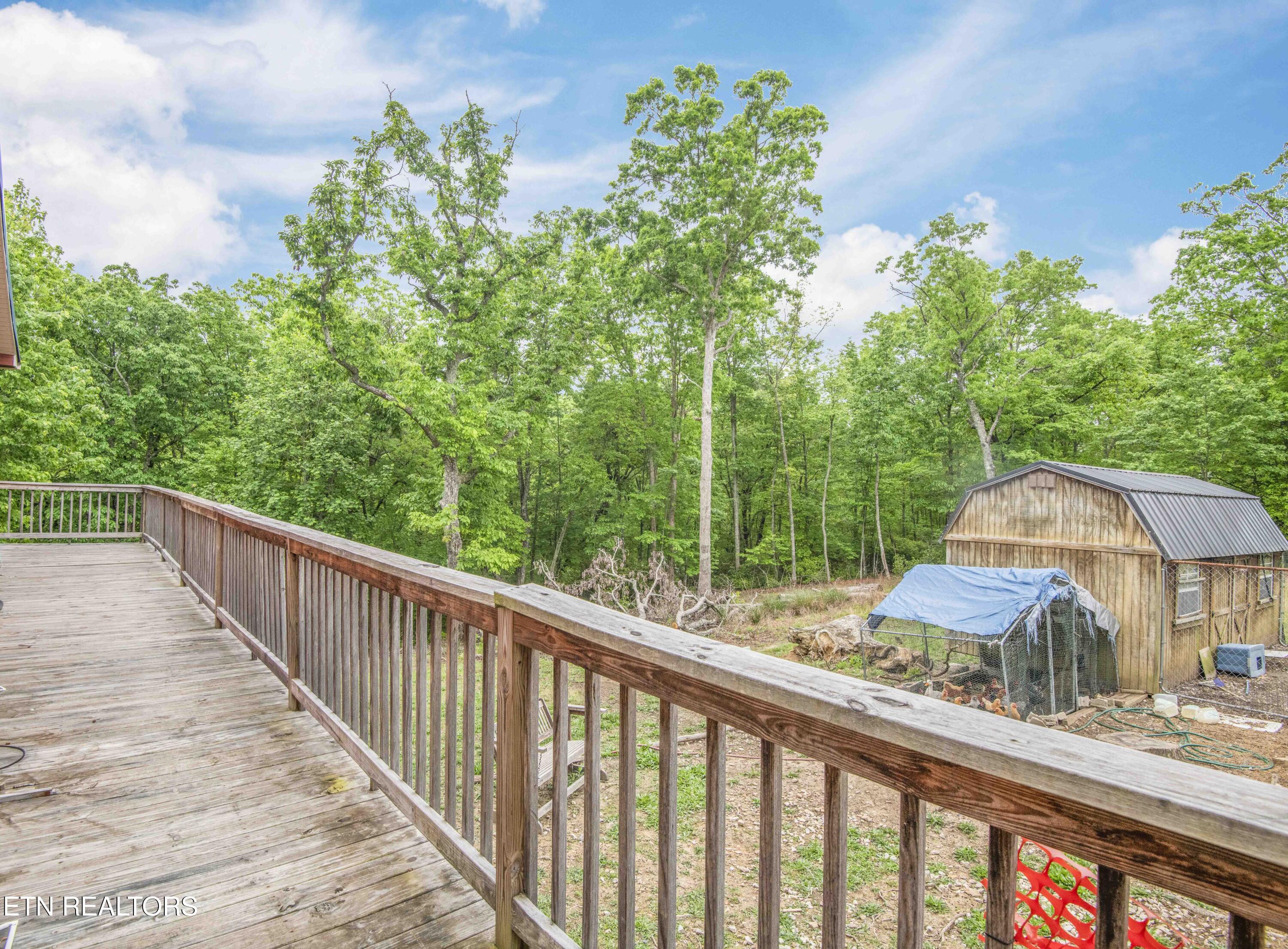 117 Coyote Lane Oneida TN 37841