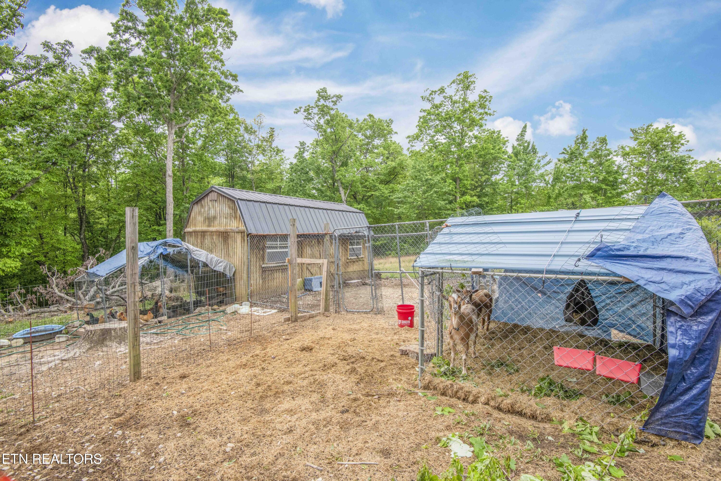 117 Coyote Lane Oneida TN 37841
