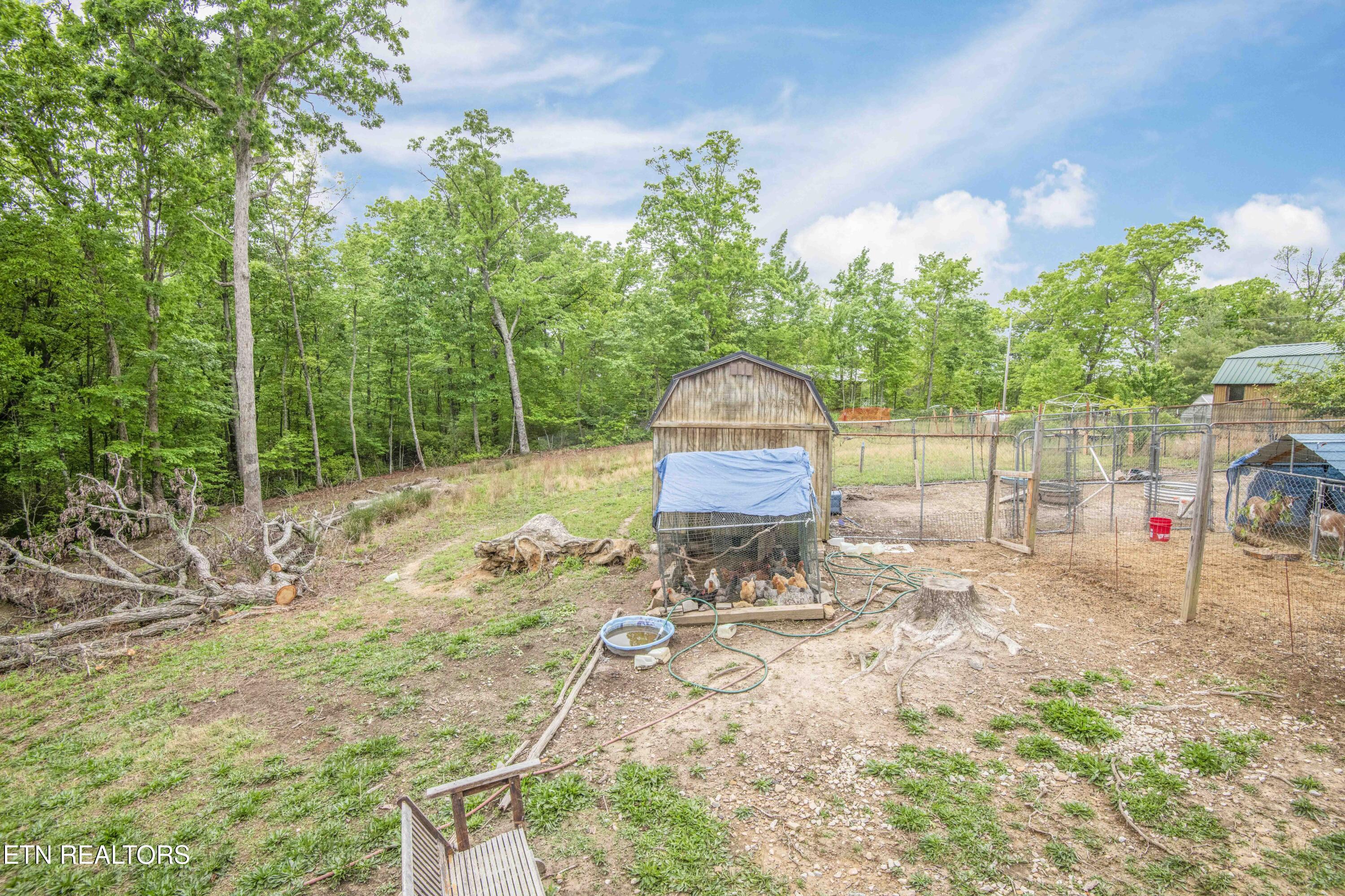 117 Coyote Lane Oneida TN 37841