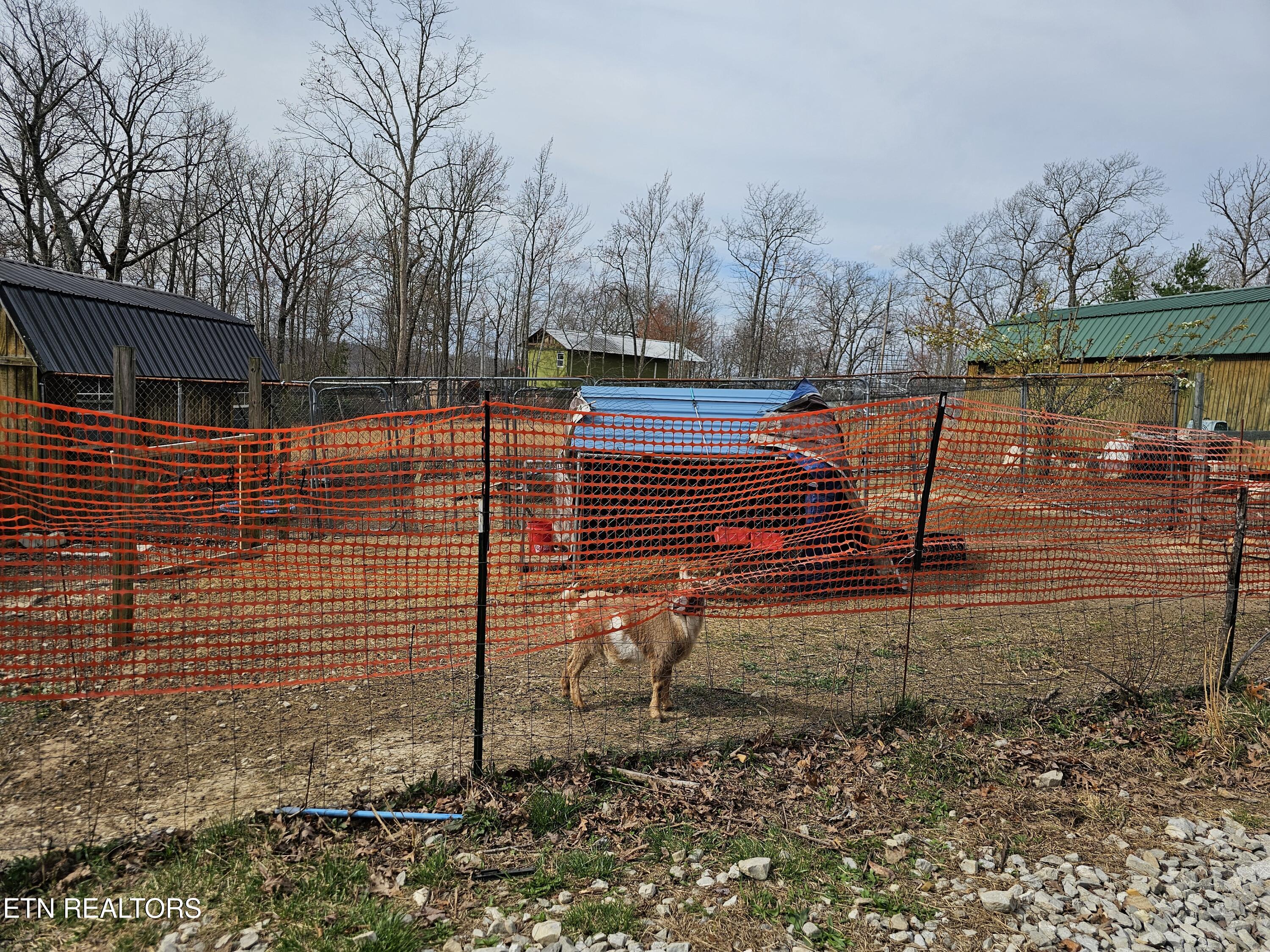 117 Coyote Lane Oneida TN 37841