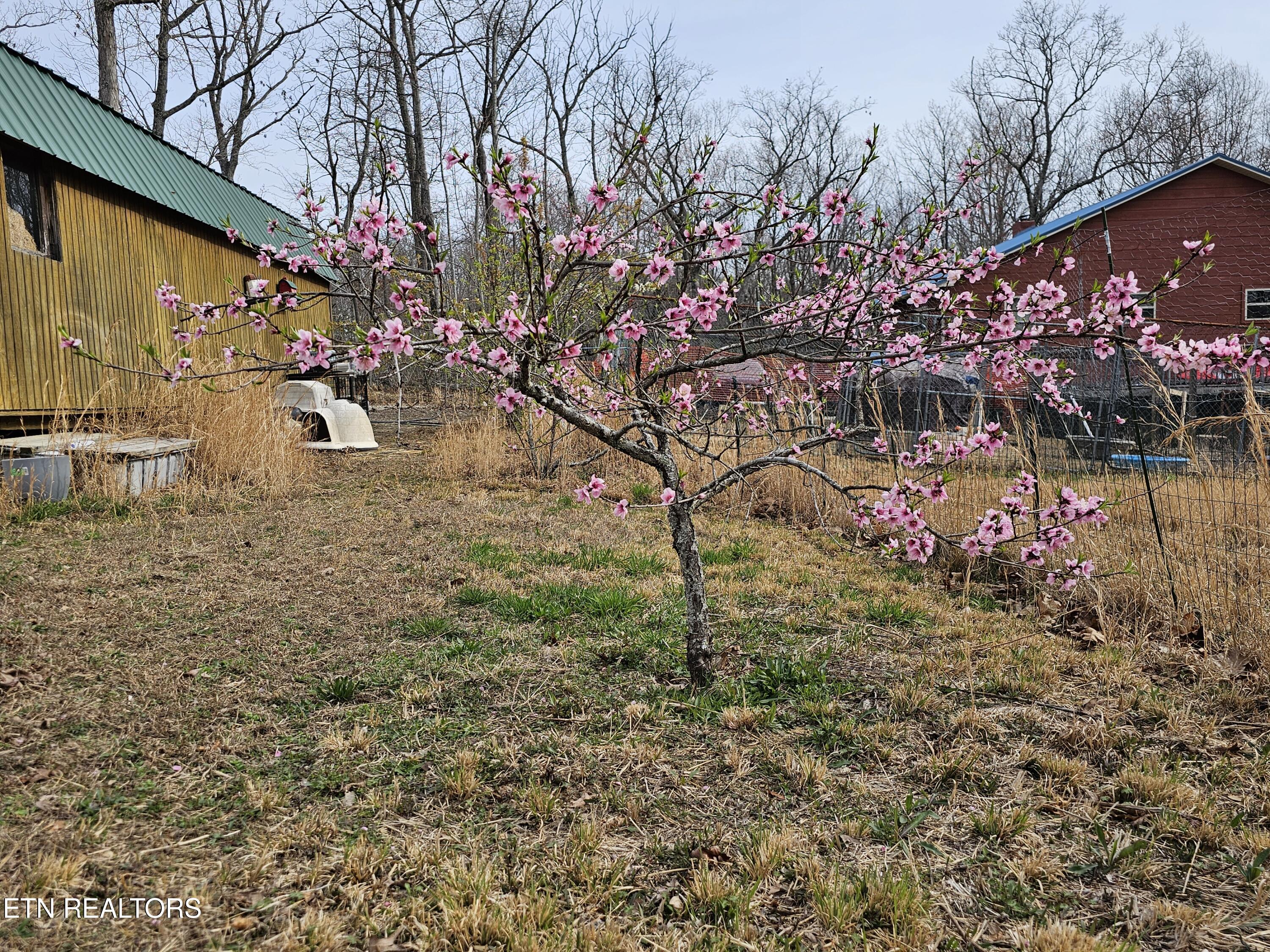 117 Coyote Lane Oneida TN 37841