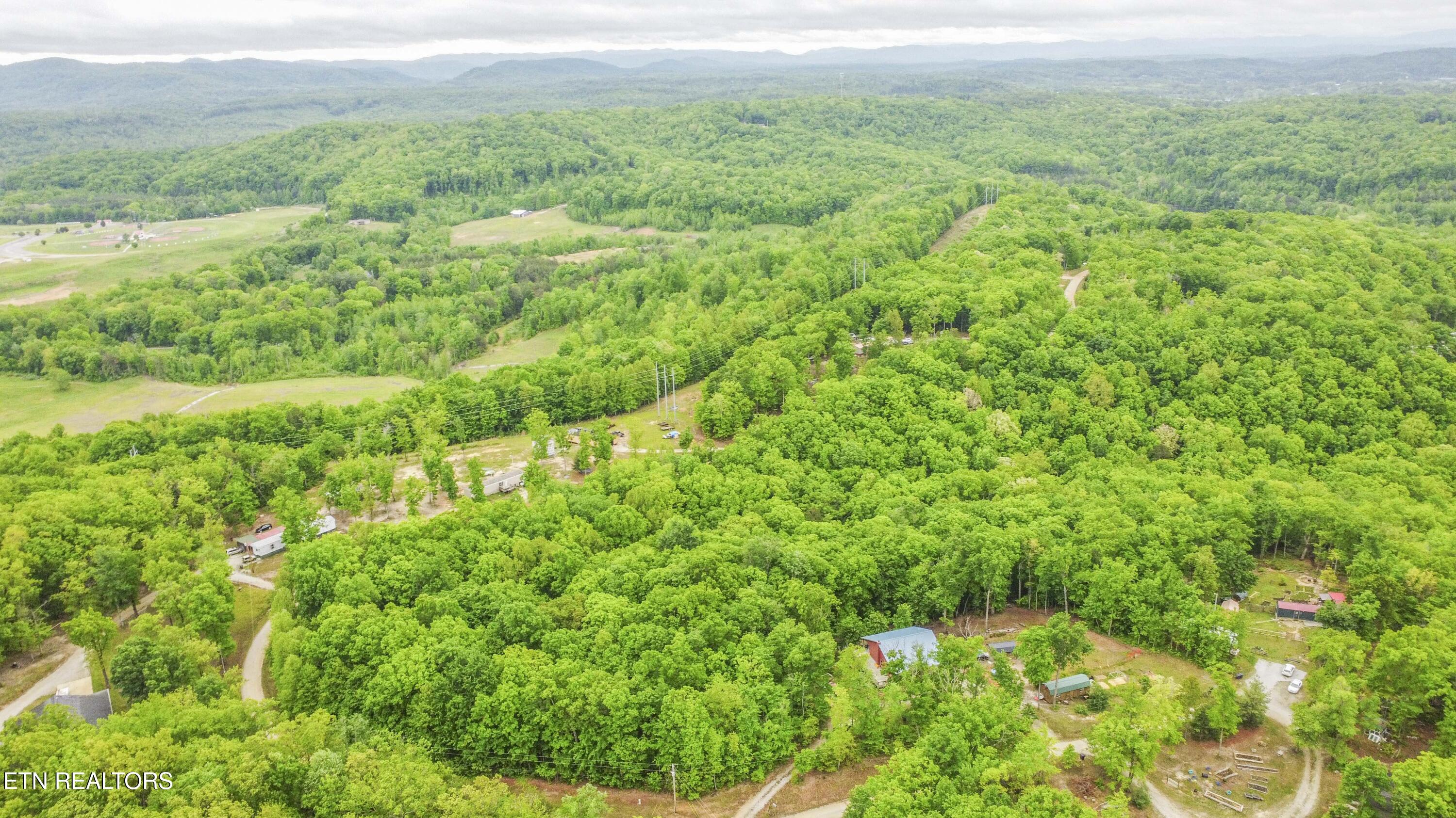 117 Coyote Lane Oneida TN 37841