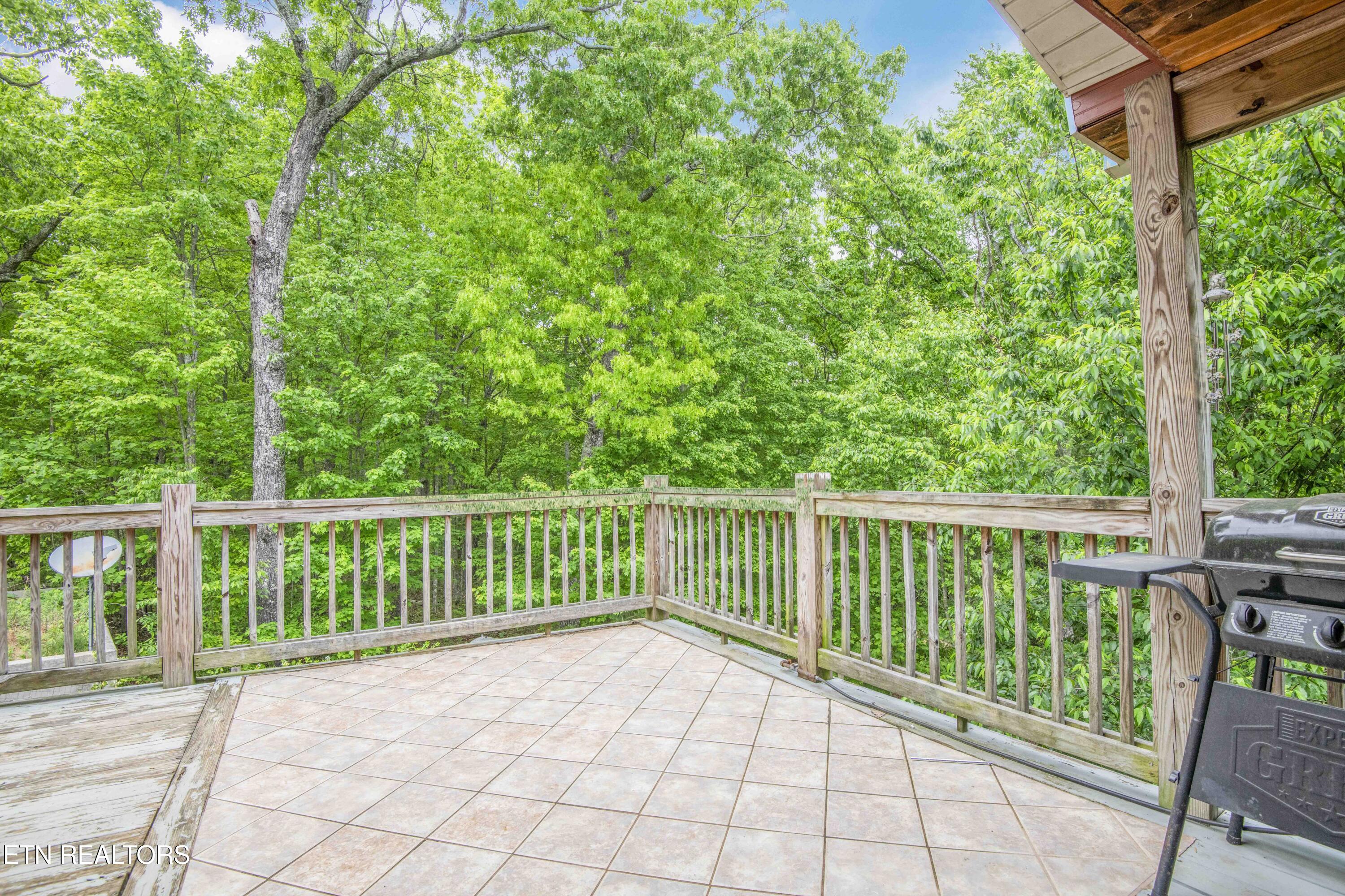 117 Coyote Lane Oneida TN 37841