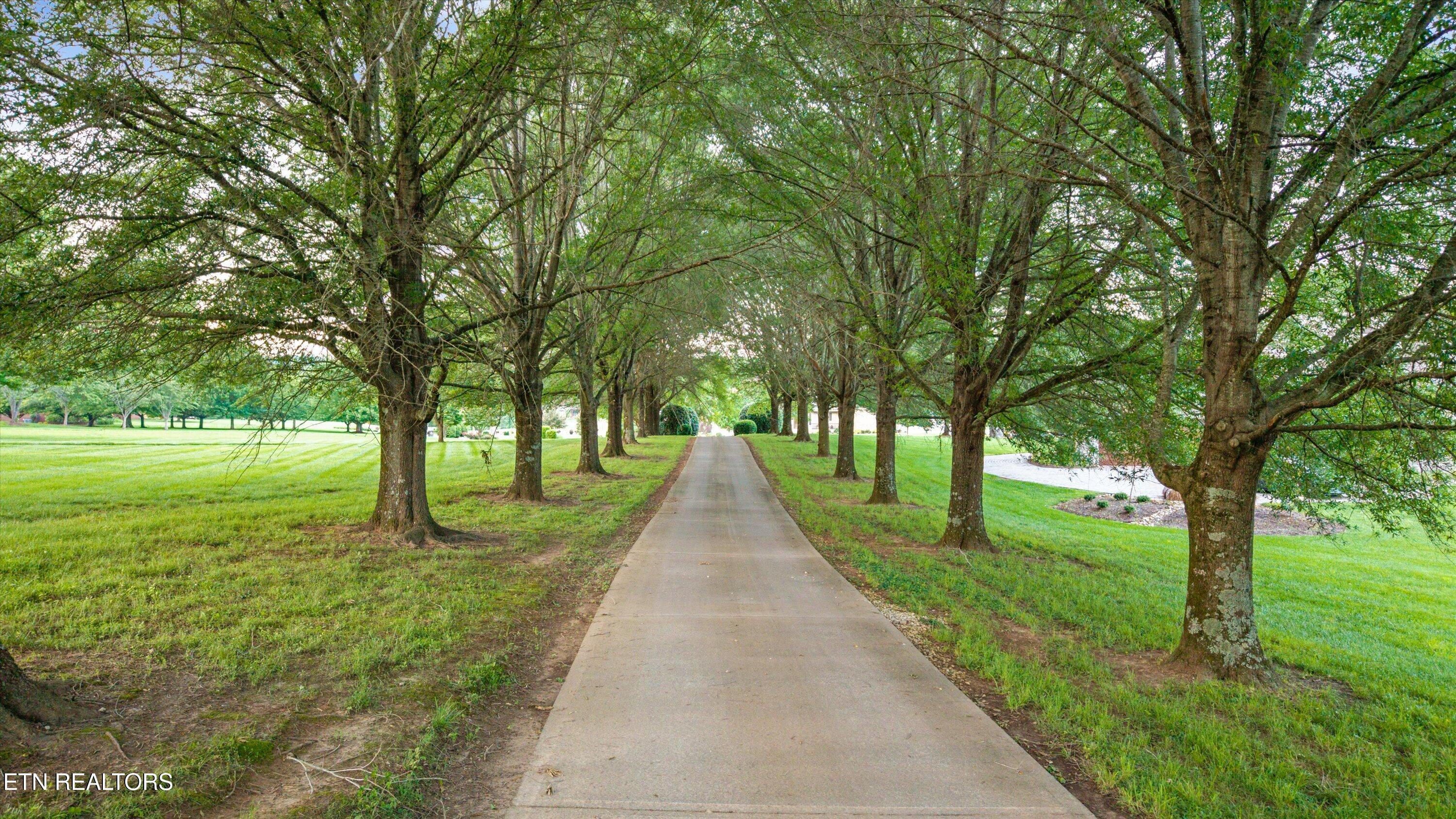 3801 Jackson Bend Drive Louisville TN 37777