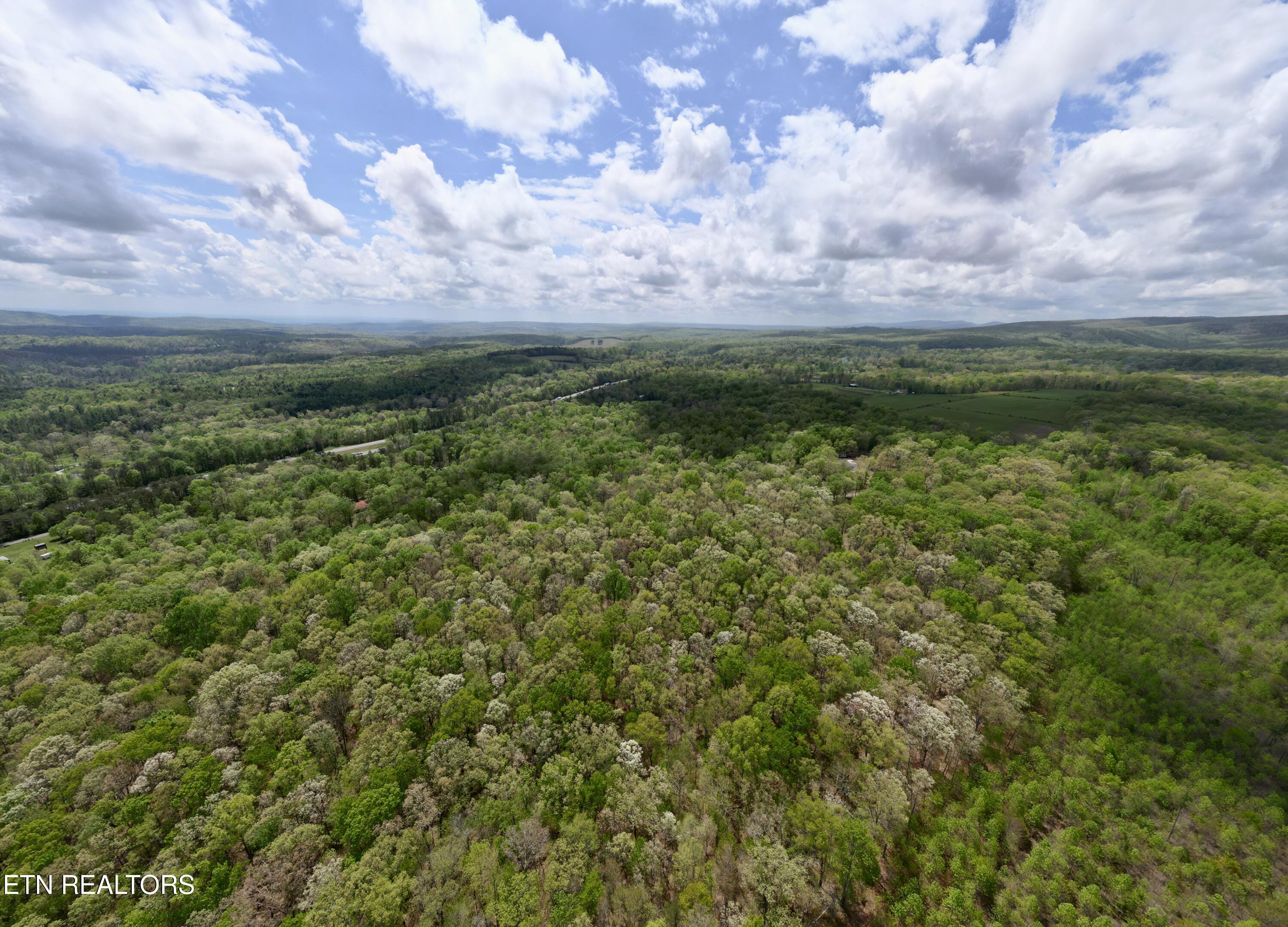 751 Ozone Access Road Rockwood TN 37854
