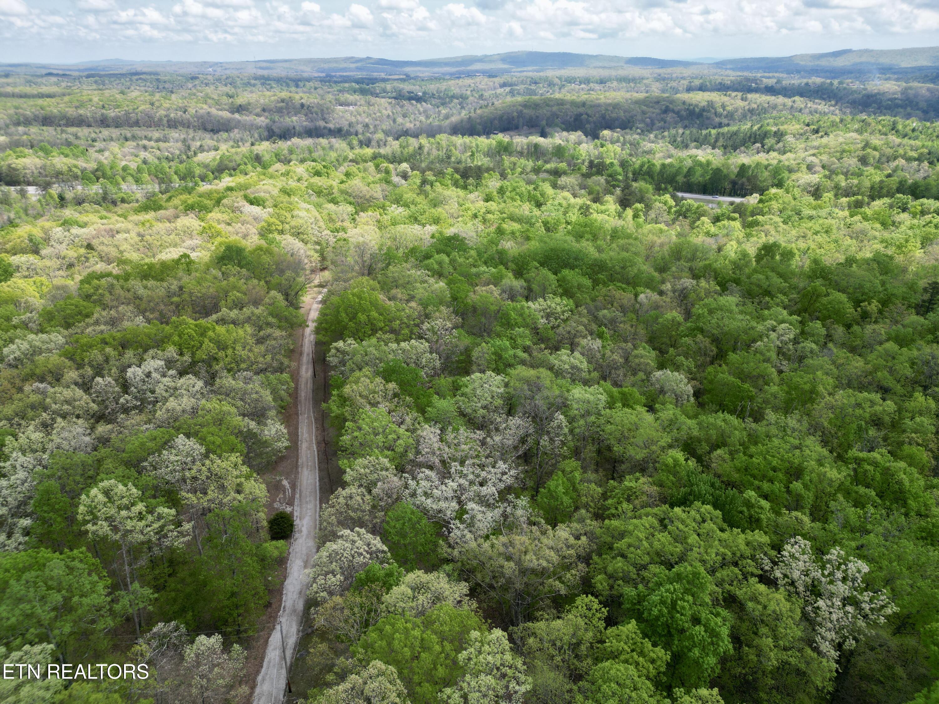 751 Ozone Access Road Rockwood TN 37854