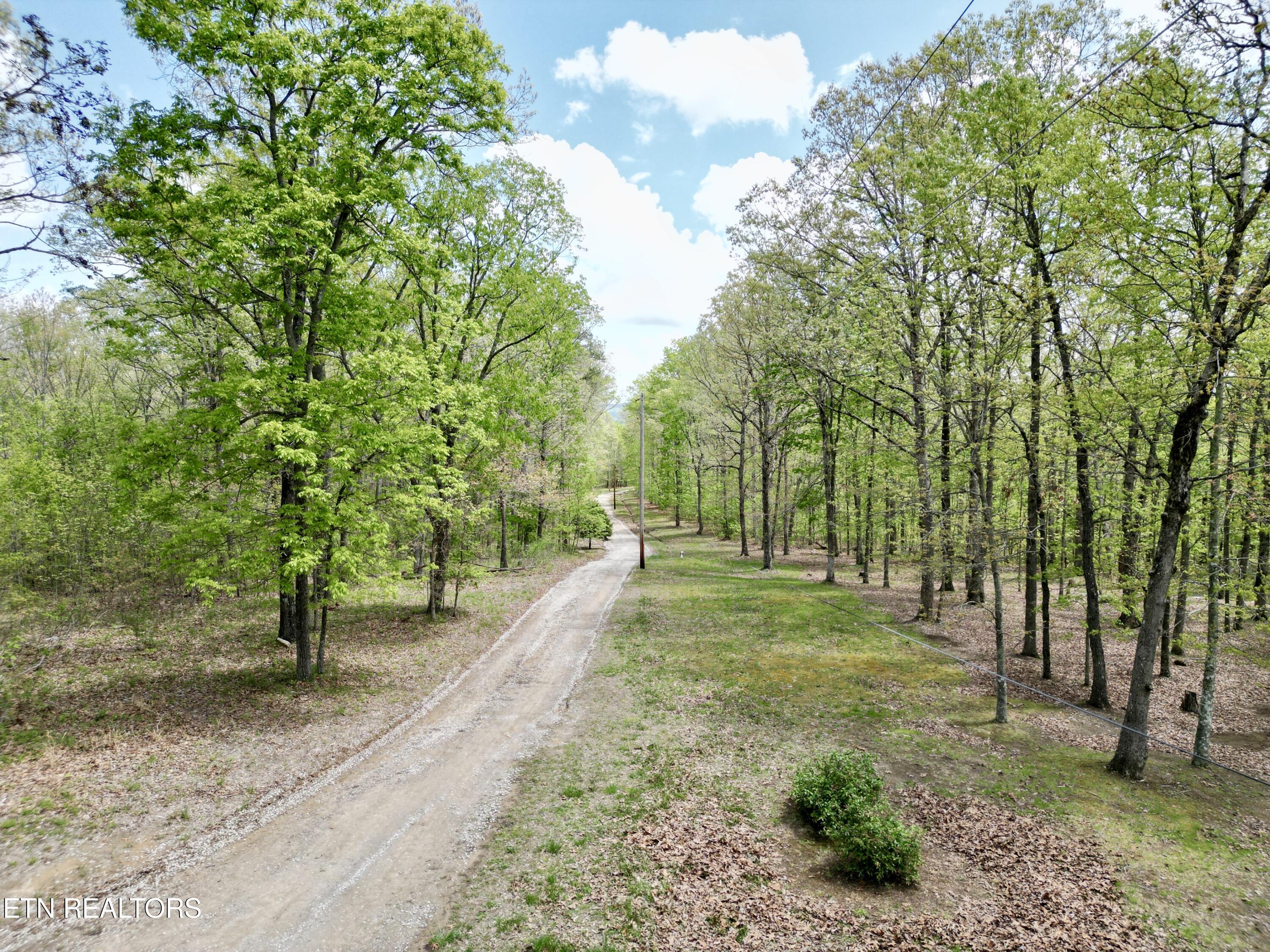 751 Ozone Access Road Rockwood TN 37854
