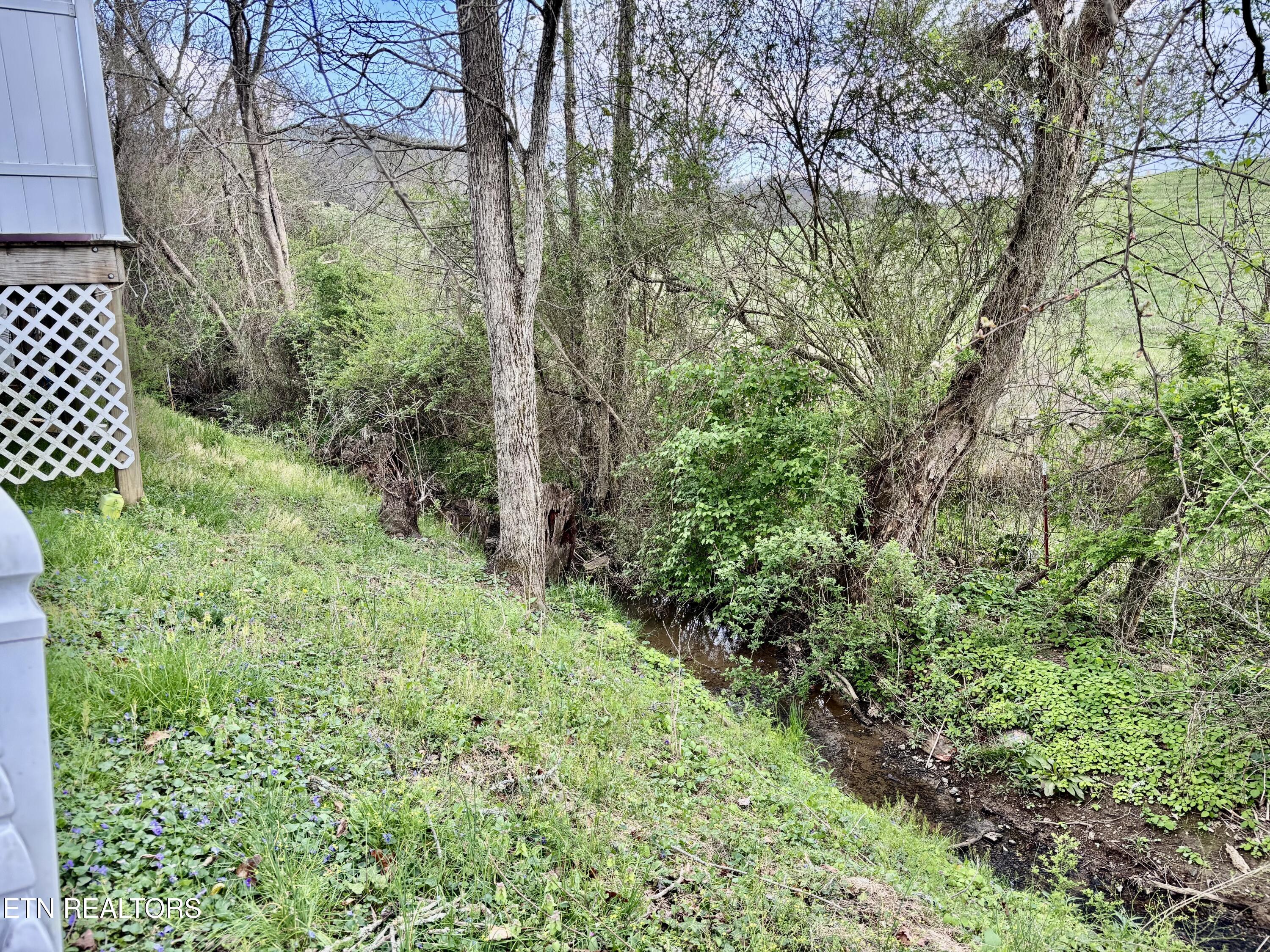 126 Larkspur Drive Andersonville TN 37705