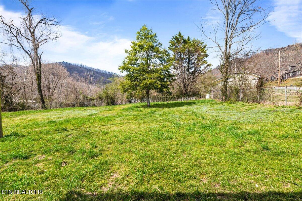 313 E Prospect Street Lafollette TN 37766