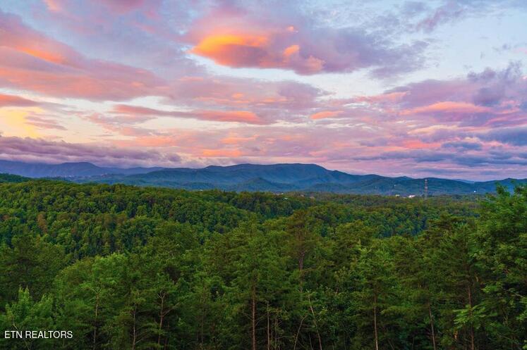 2037 Mccarter Drive Sevierville TN 37862