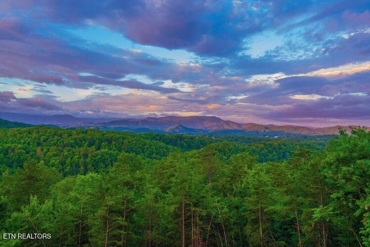 2037 Mccarter Drive Sevierville TN 37862