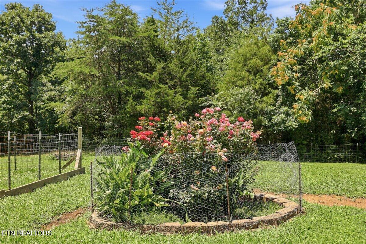 586 Havenwood Way Dandridge TN 37725
