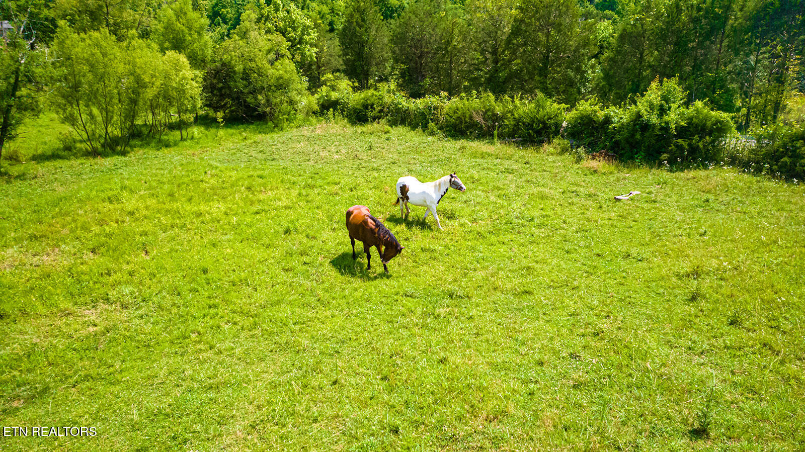 467 Sleepy Valley Road Madisonville TN 37354
