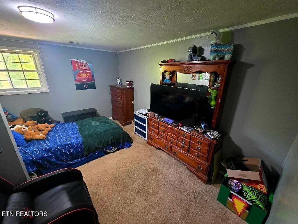 209 Crawford Street Dayton TN 37321