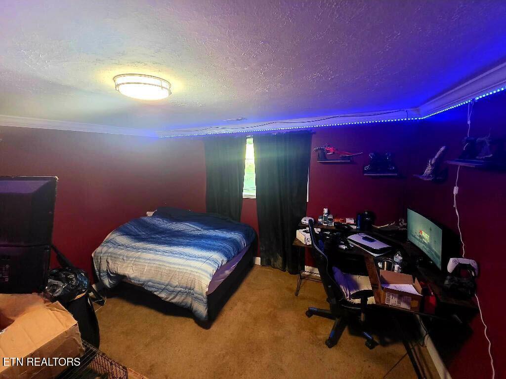209 Crawford Street Dayton TN 37321