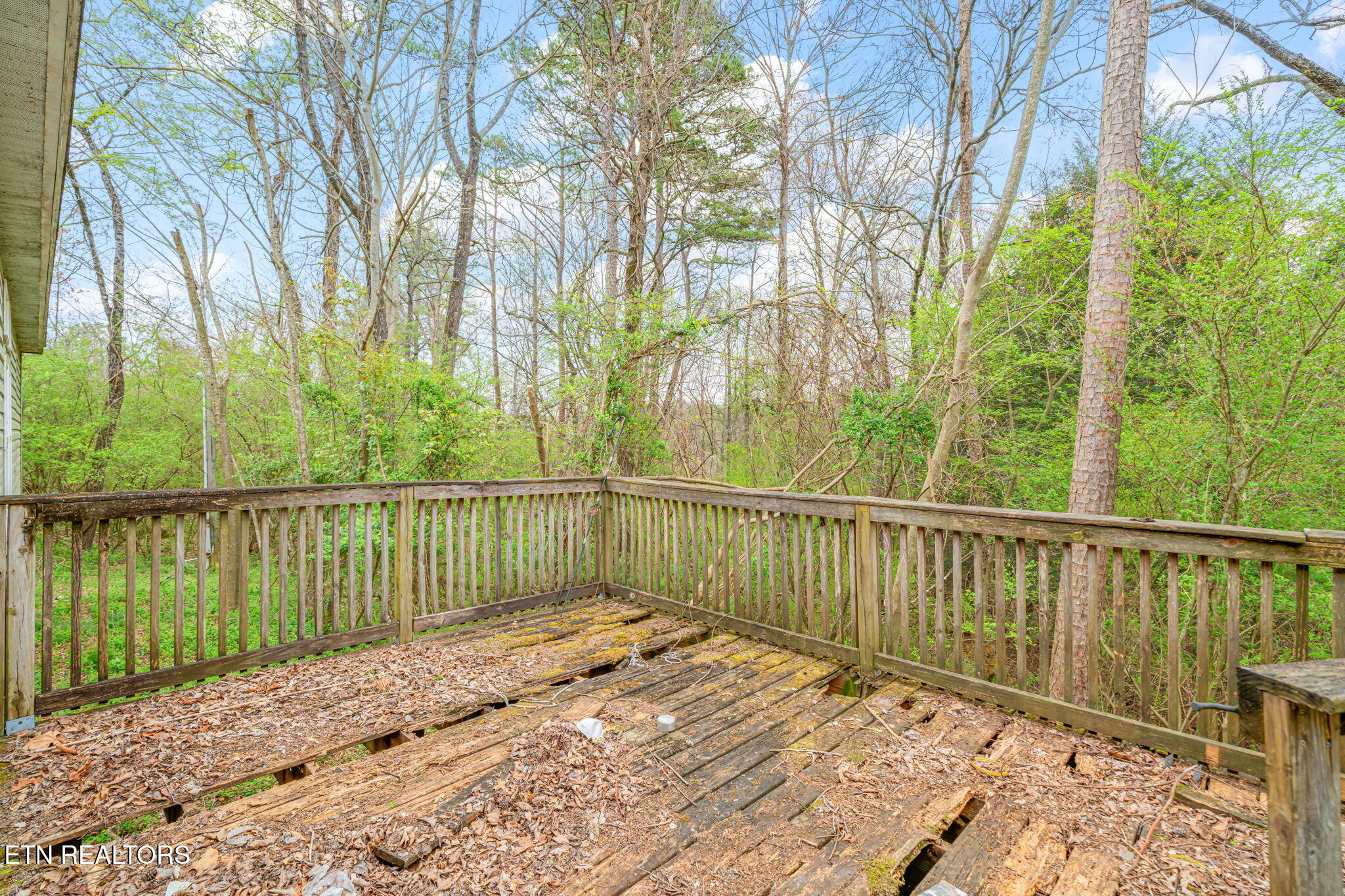 414 Dogwood Lane Rockwood TN 37854