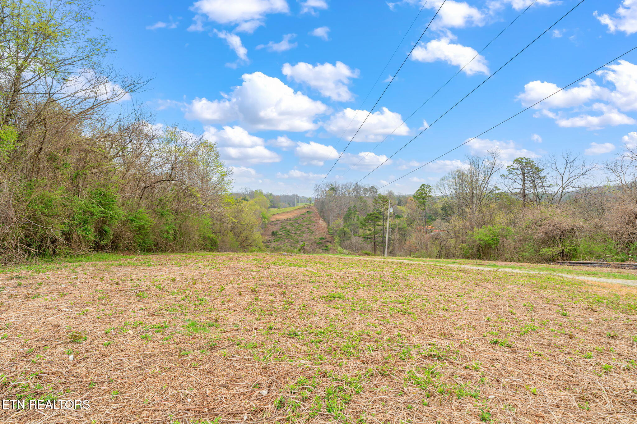 414 Dogwood Lane Rockwood TN 37854