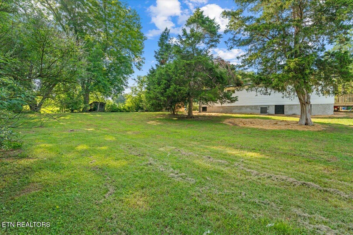 1805 Chestnut Street Sweetwater TN 37874