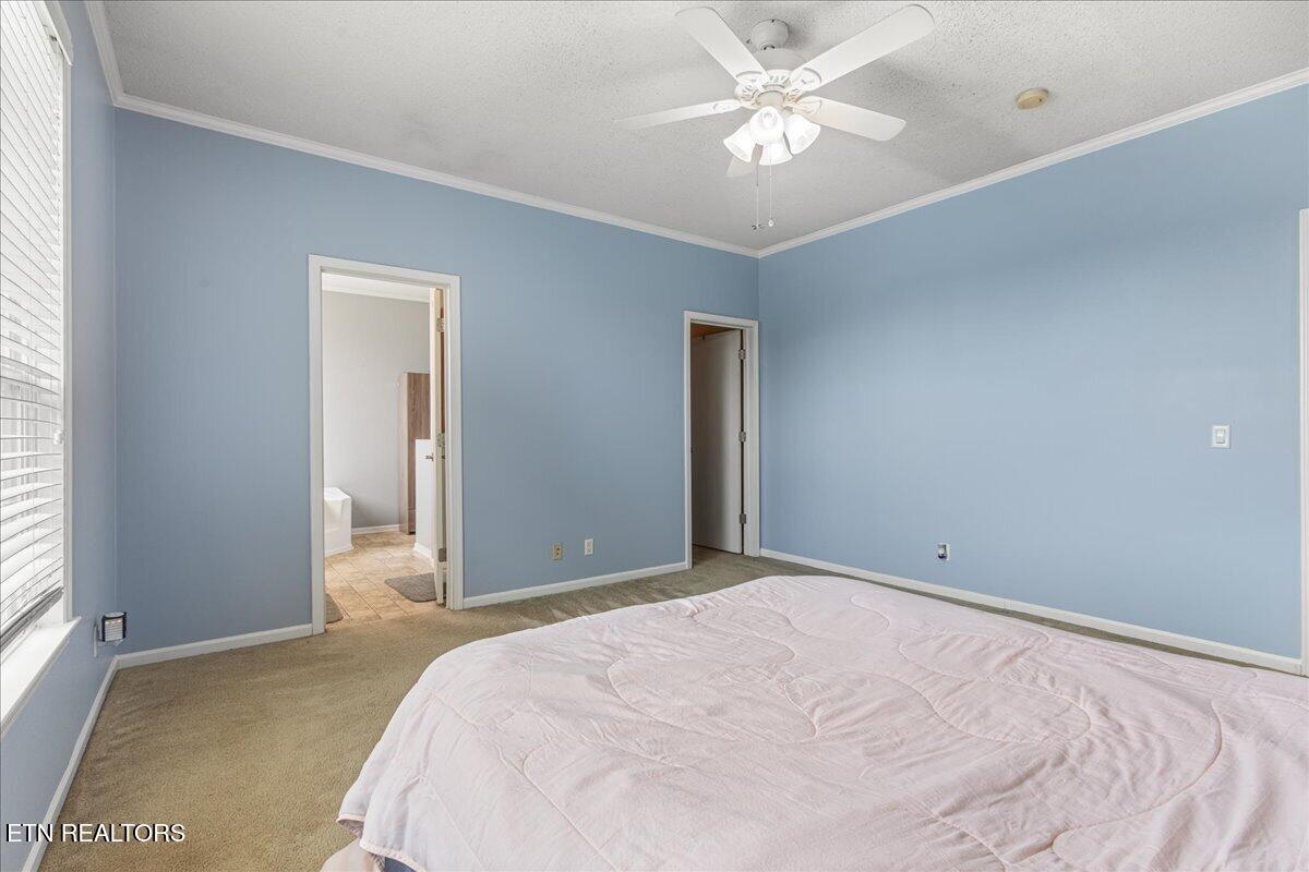687 E Farrell Street Niota TN 37826
