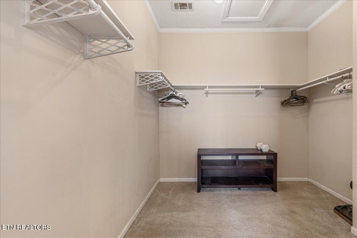 687 E Farrell Street Niota TN 37826