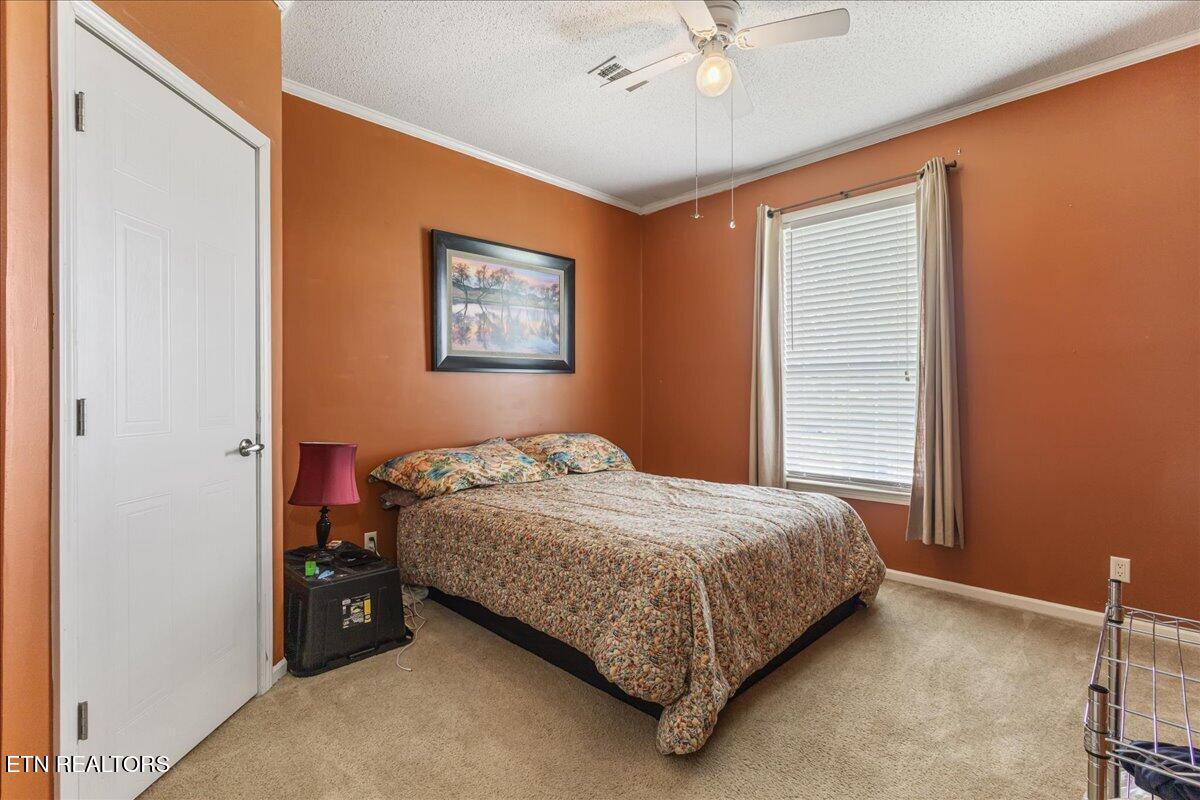 687 E Farrell Street Niota TN 37826