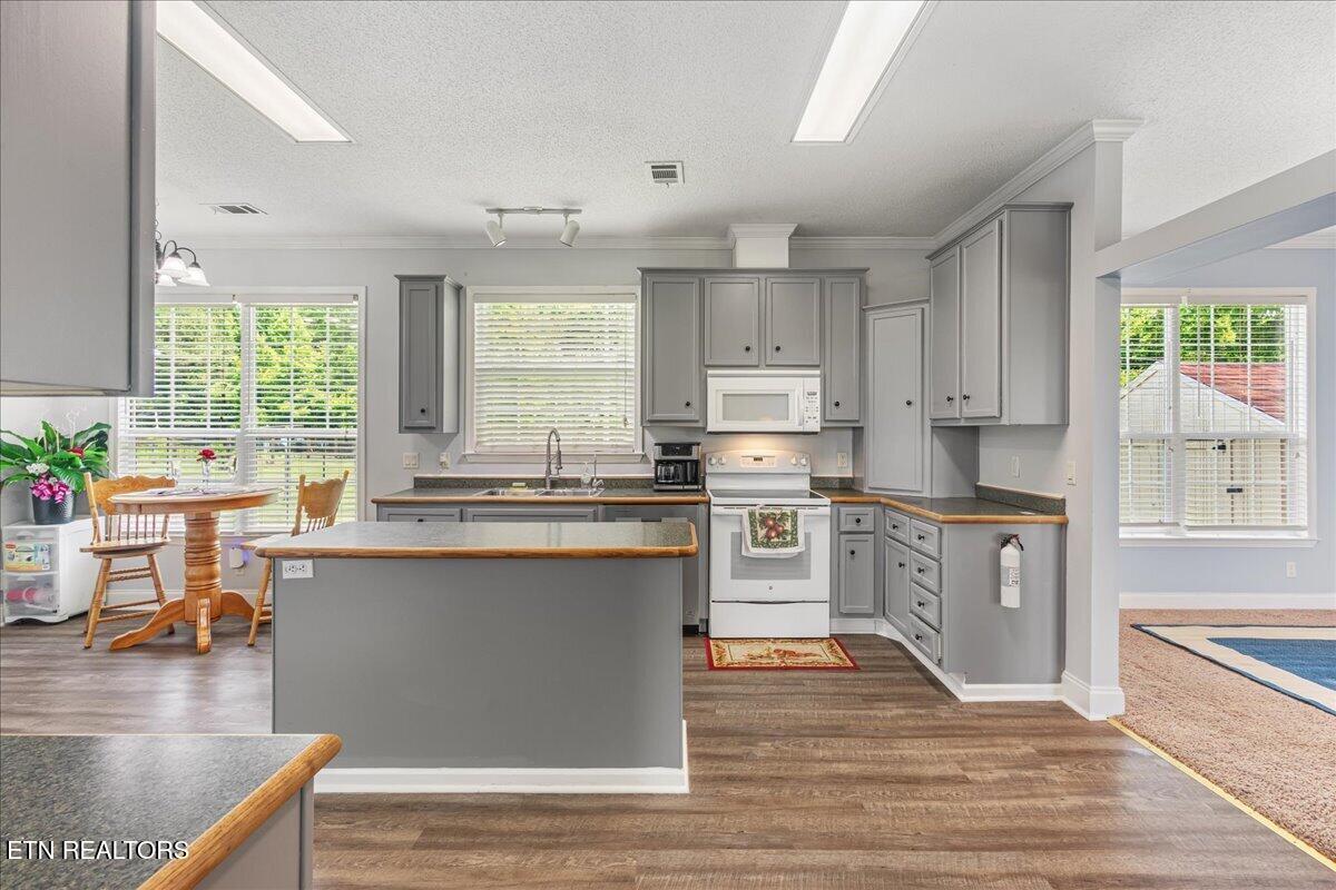 687 E Farrell Street Niota TN 37826