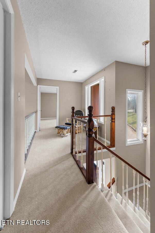 770 Mount Paran Road Jacksboro TN 37757
