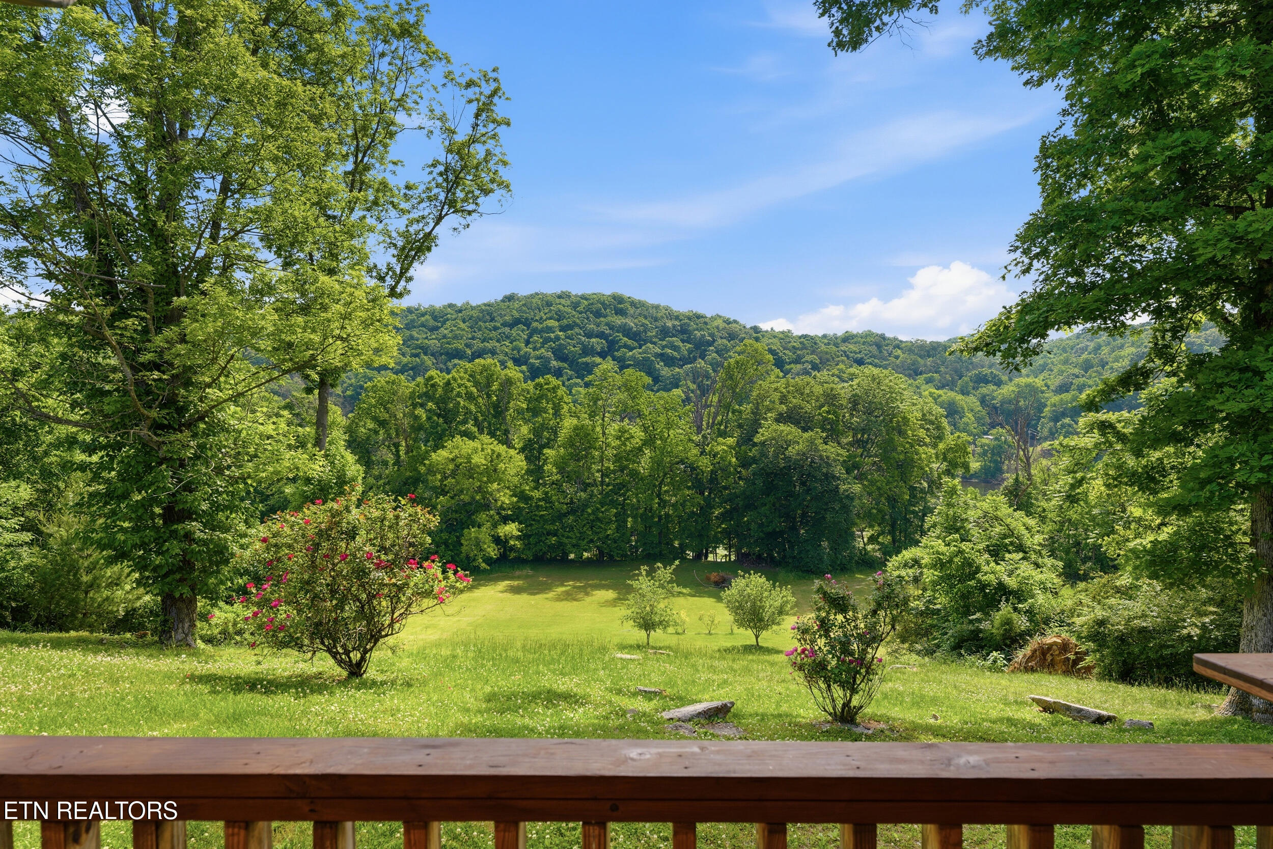 1982 Holston Shores Drive Rutledge TN 37861