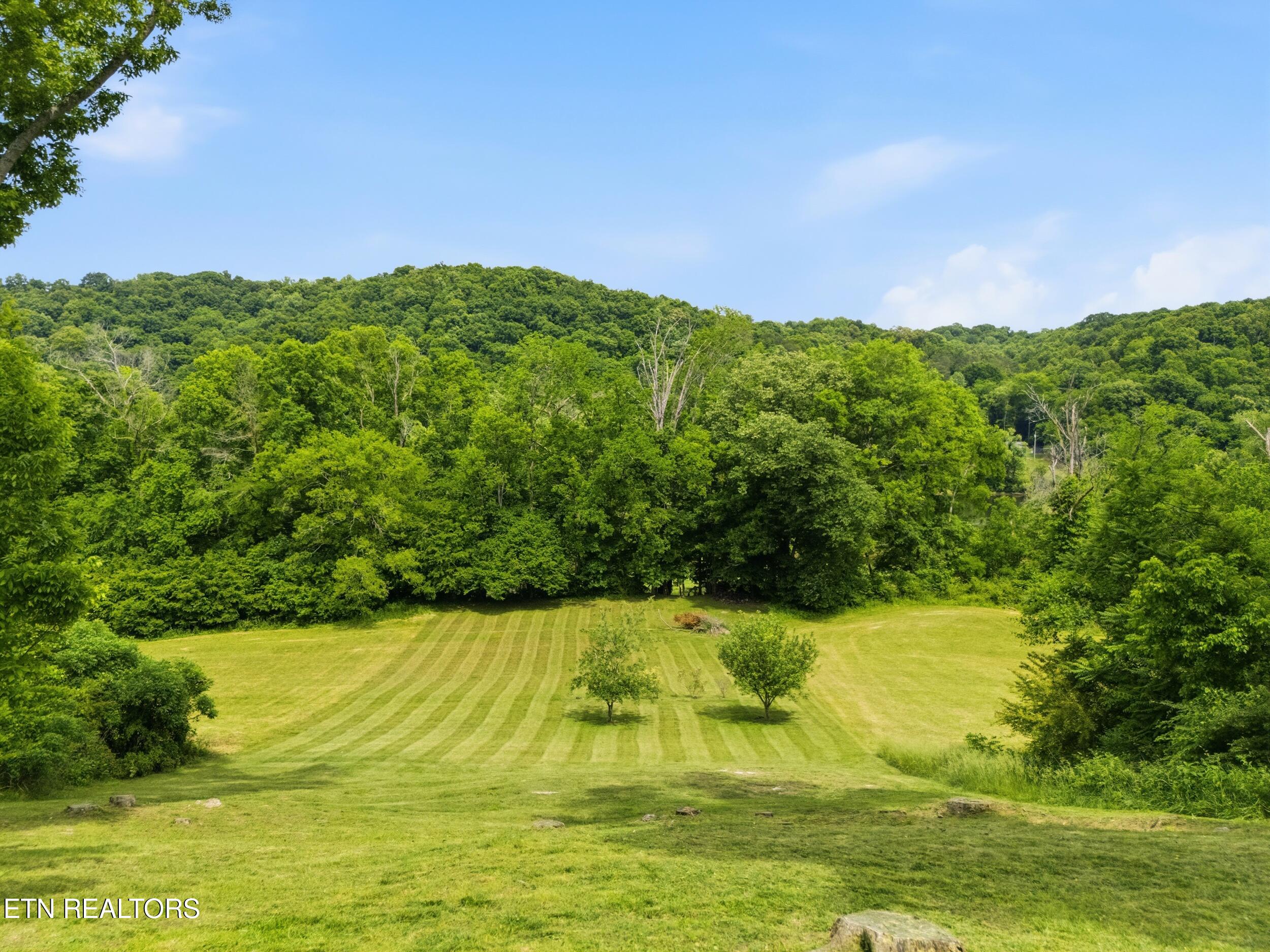 1982 Holston Shores Drive Rutledge TN 37861