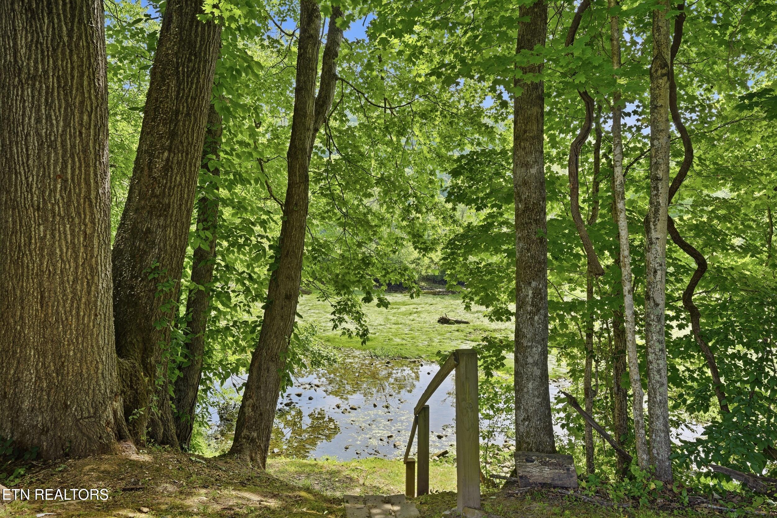 1982 Holston Shores Drive Rutledge TN 37861