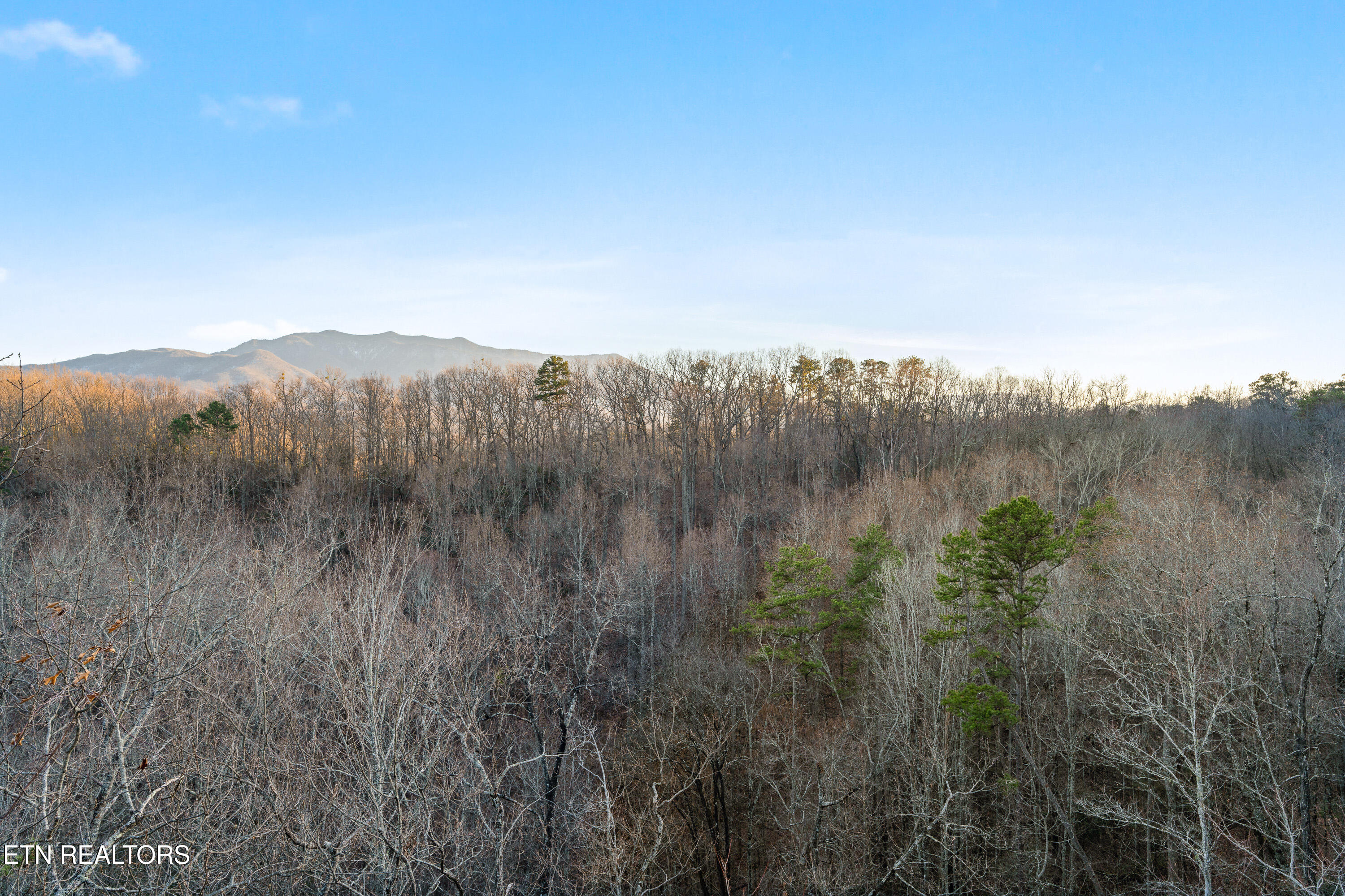 2045 Settlers Ridge Way Gatlinburg TN 37738