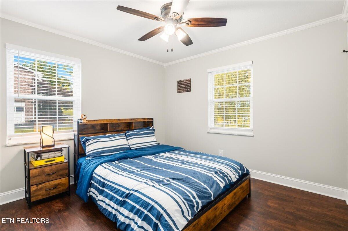 7323 Martingale Drive Powell TN 37849