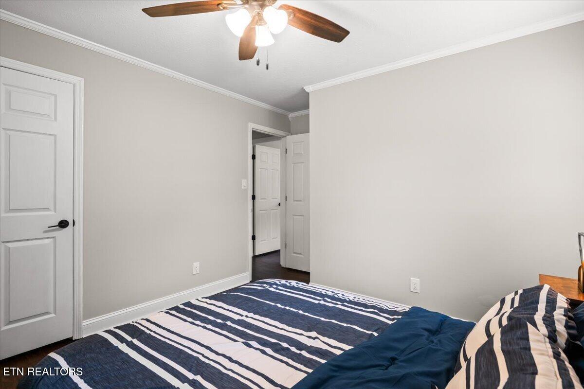 7323 Martingale Drive Powell TN 37849
