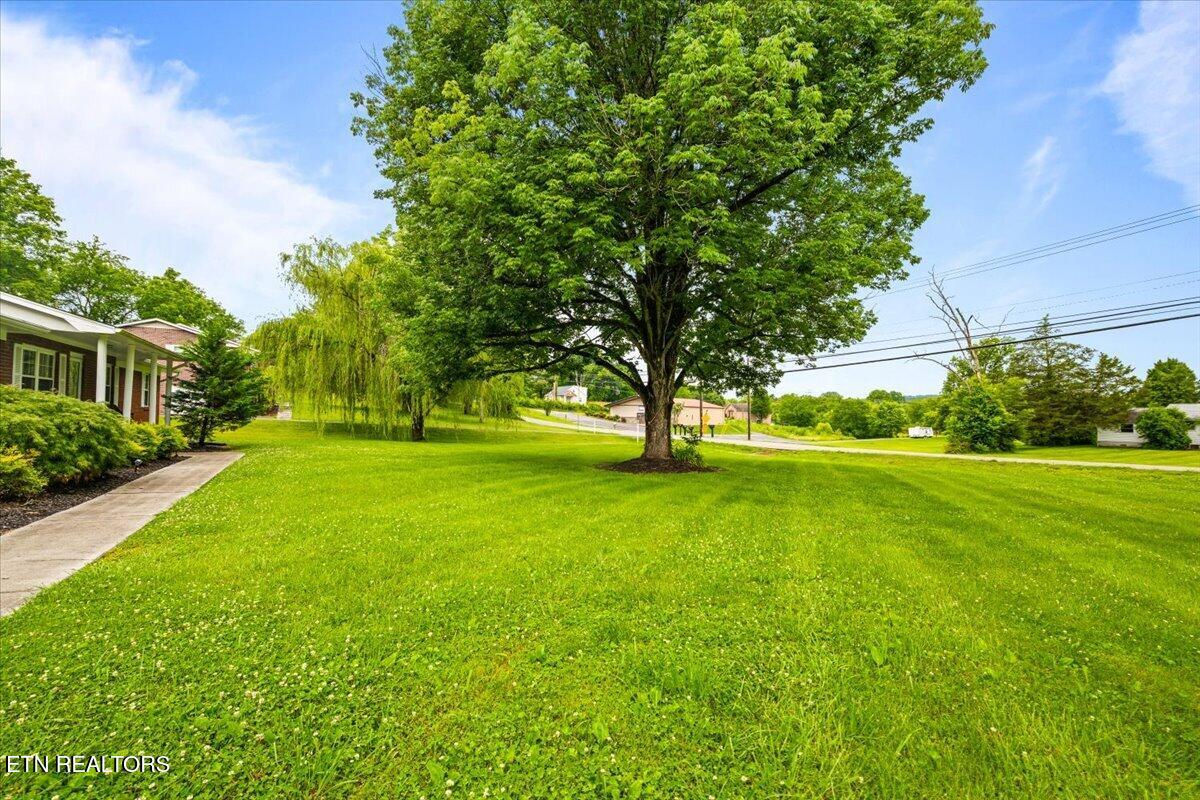 7323 Martingale Drive Powell TN 37849