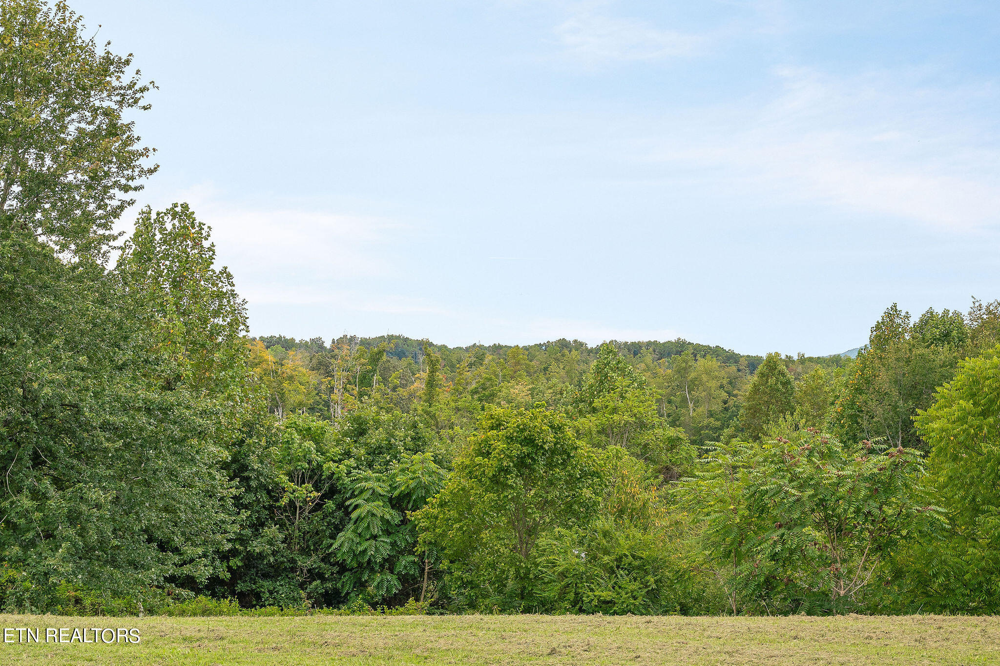 5283 Willow Grove Highway Allons TN 38541