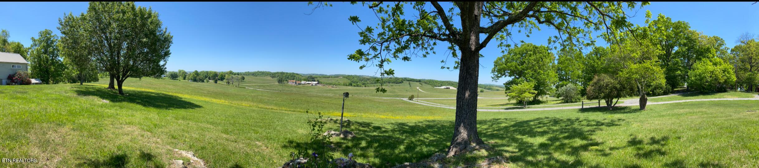 1456 C H Rankin Road White Pine TN 37890