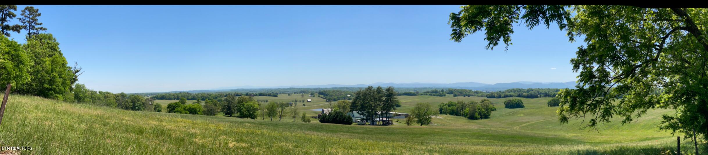 1456 C H Rankin Road White Pine TN 37890