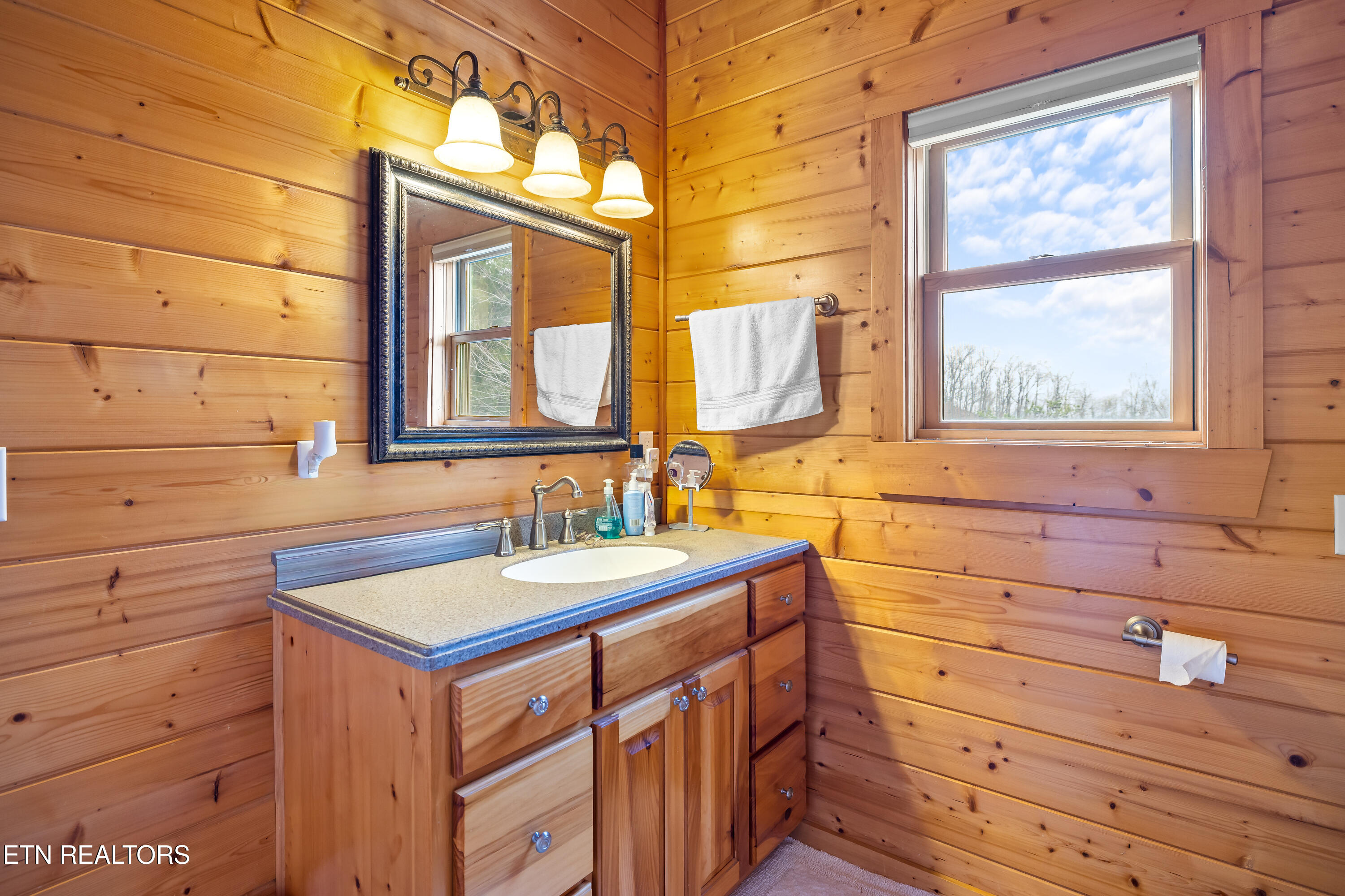 1184 Fawn Hollow Trail Townsend TN 37882