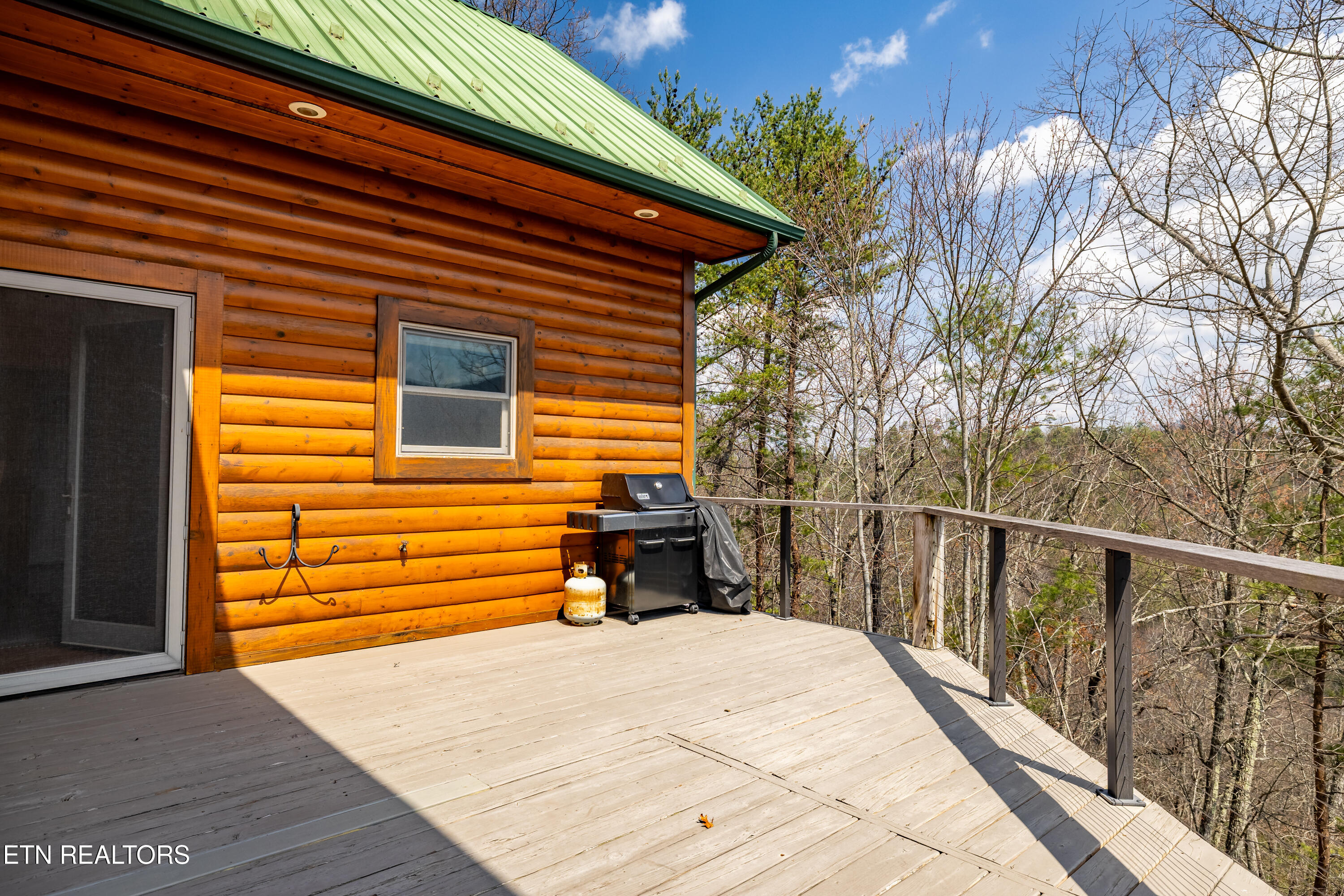 1184 Fawn Hollow Trail Townsend TN 37882