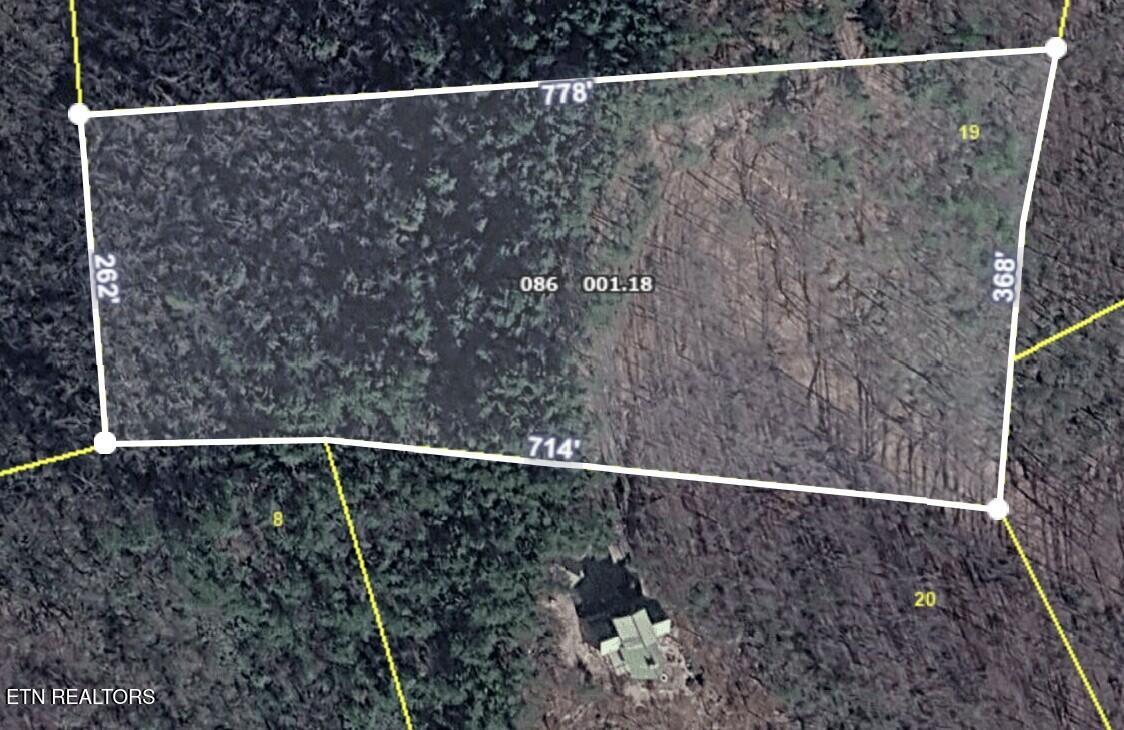 1184 Fawn Hollow Trail Townsend TN 37882