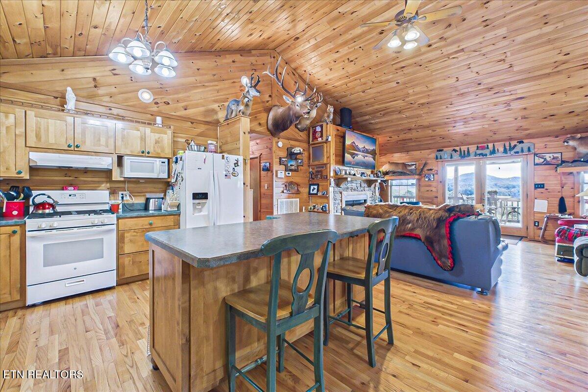 810 Belltown Road Tellico Plains TN 37385