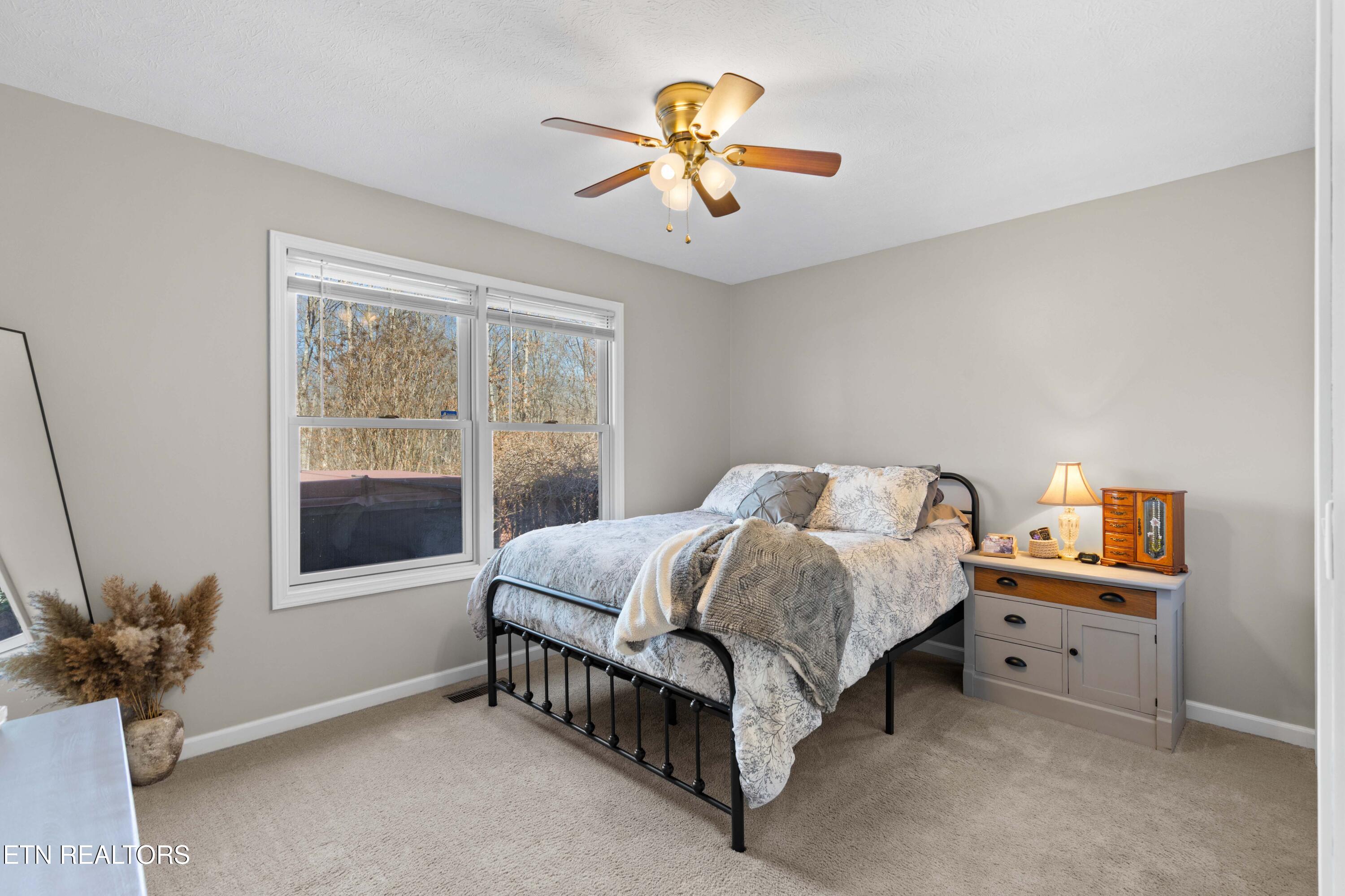 317 Georgee Road Jamestown TN 38556