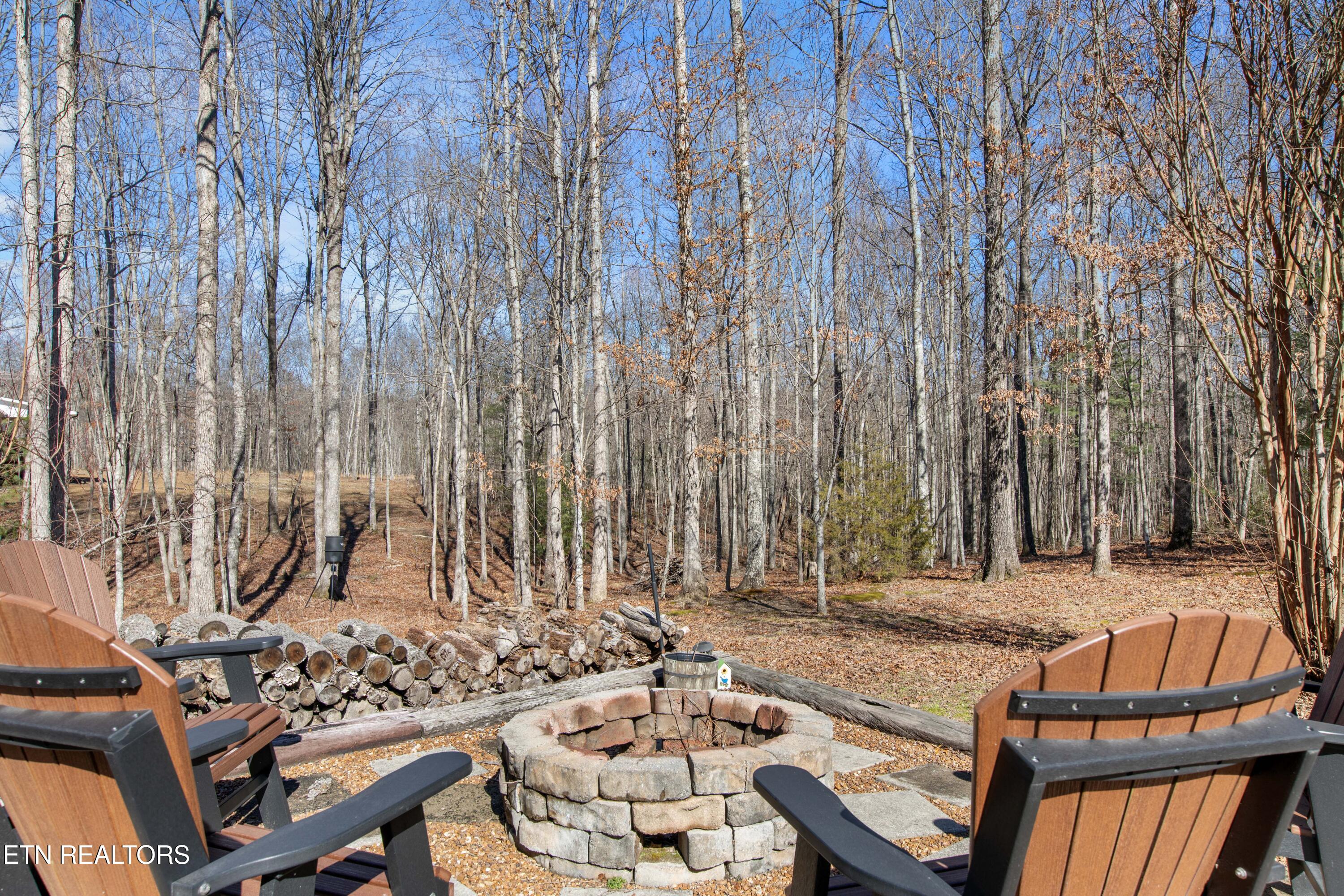 317 Georgee Road Jamestown TN 38556