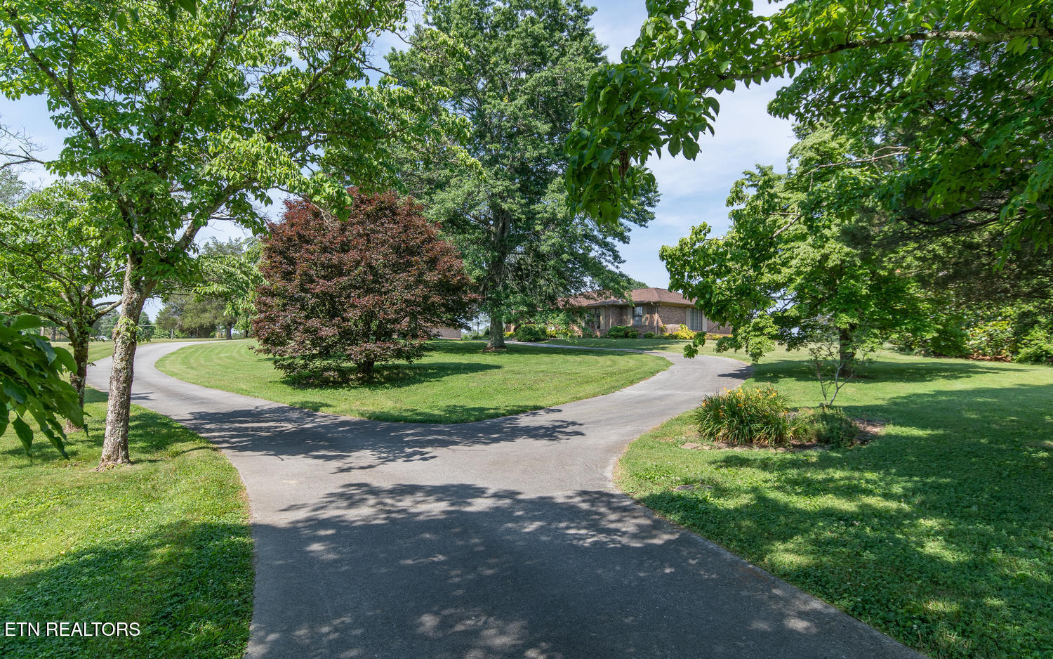 8019 Washington Pike Corryton TN 37721