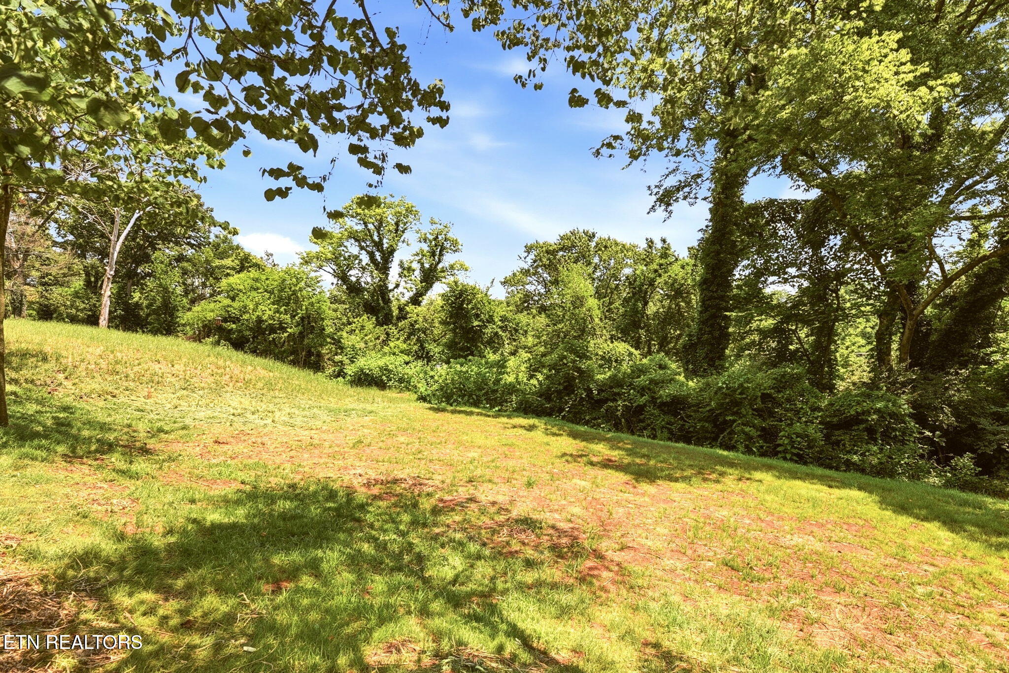 1620 Rugby Avenue Knoxville TN 37920
